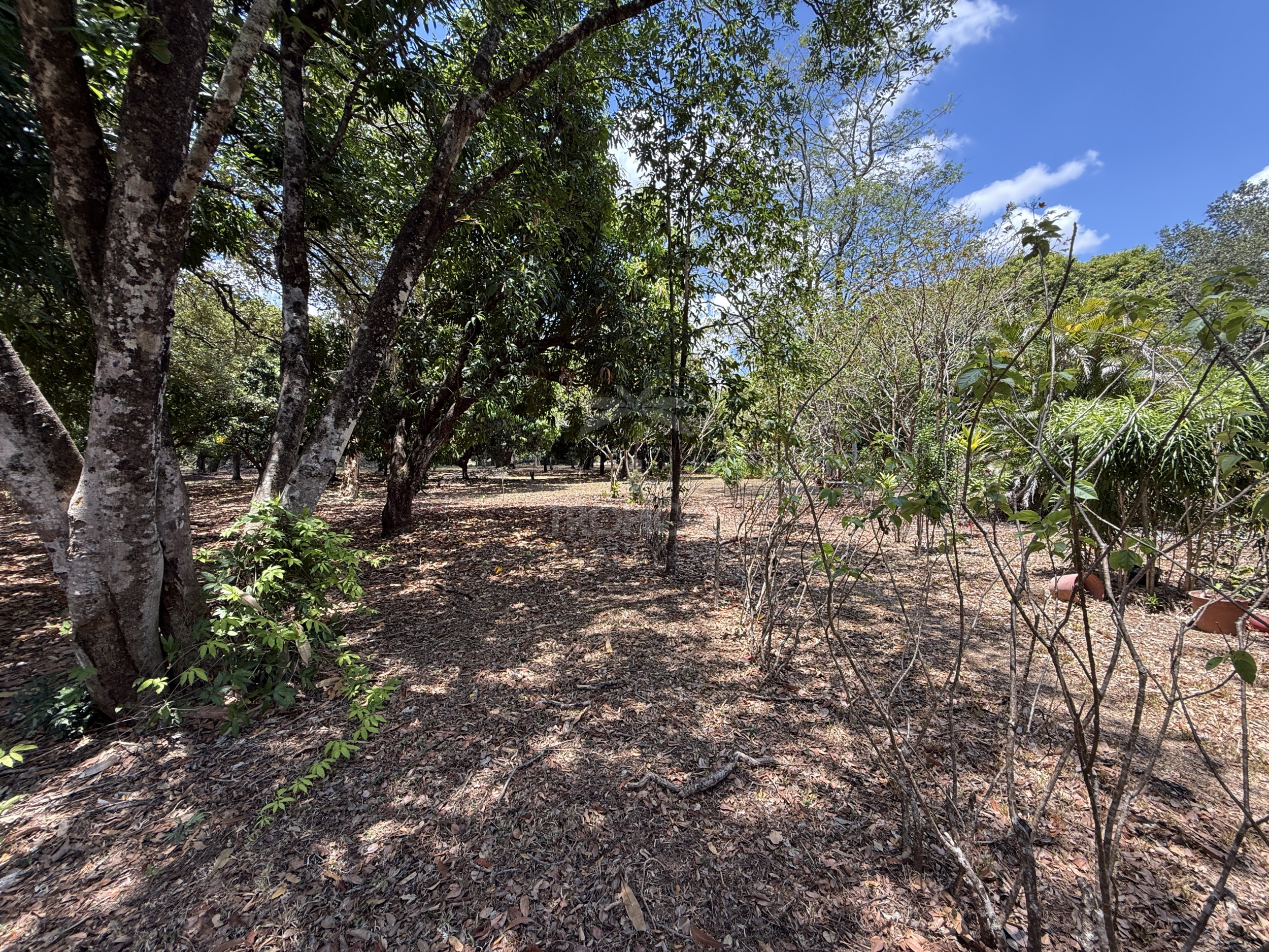 Exclusive Estate for Sale in Liberia, Guanacaste – Natural Oasis with Creek & Tourism Potential