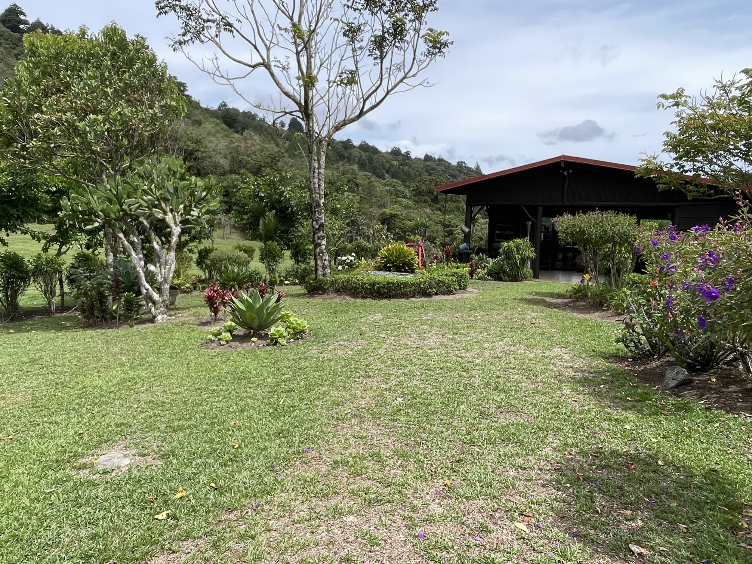 Charming Coffee Retreat Home with Stunning Views and Gourmet Coffee Plantations