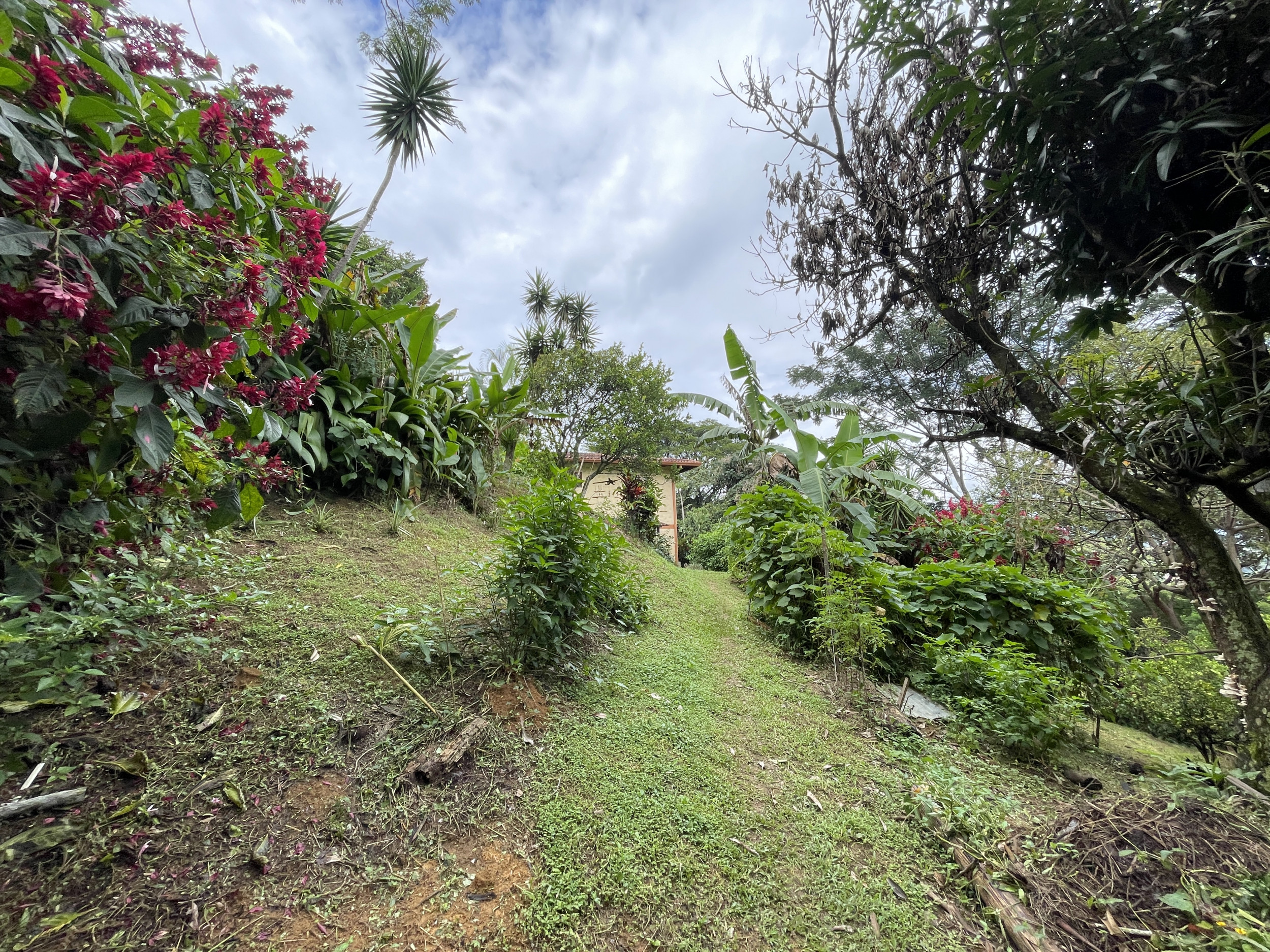 Brasil De Mora detached home for sale SOLD