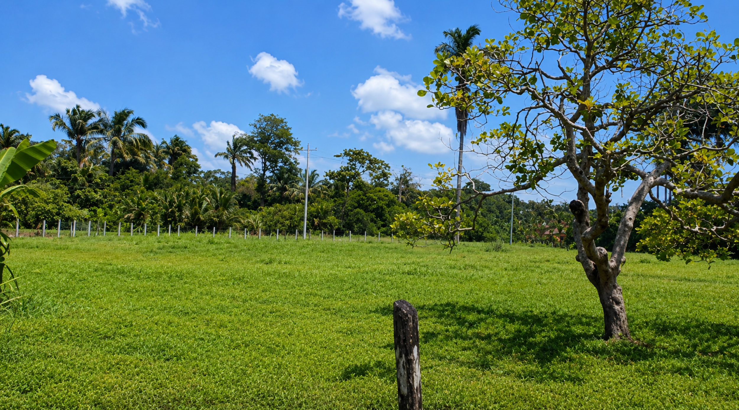 Large Development Property for Sale in Limón | 29.8 Hectares in Costa Rica’s Caribbean Region