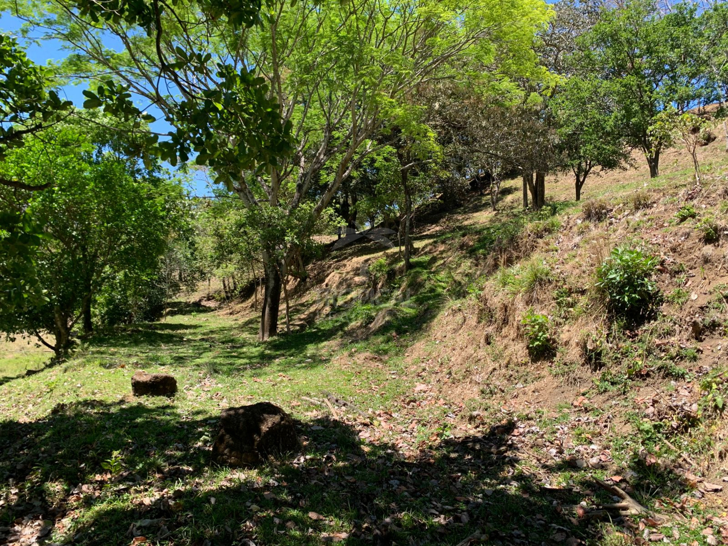 Farm for Sale in Turrúcares – Riverfront with Pools & Ecotourism Potential