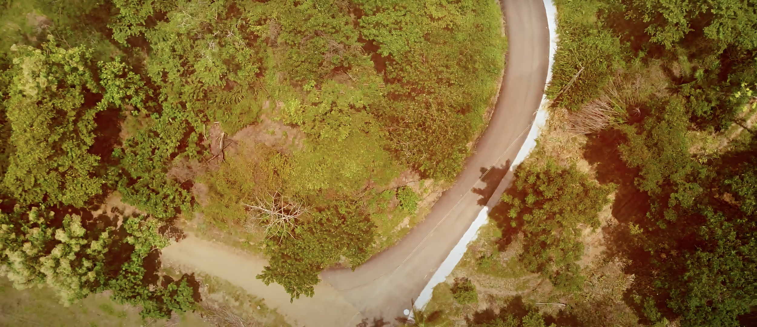 Blue Zone Lots for Sale in Costa Rica – Build Your Dream Beach Home