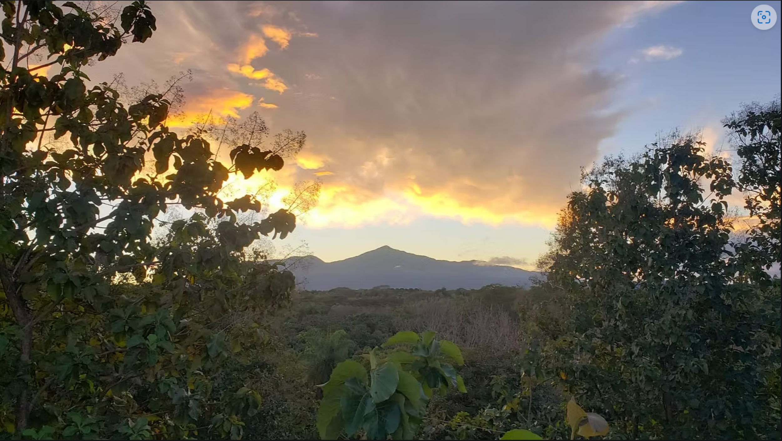 Tropical Villa with Views of Carara National Park