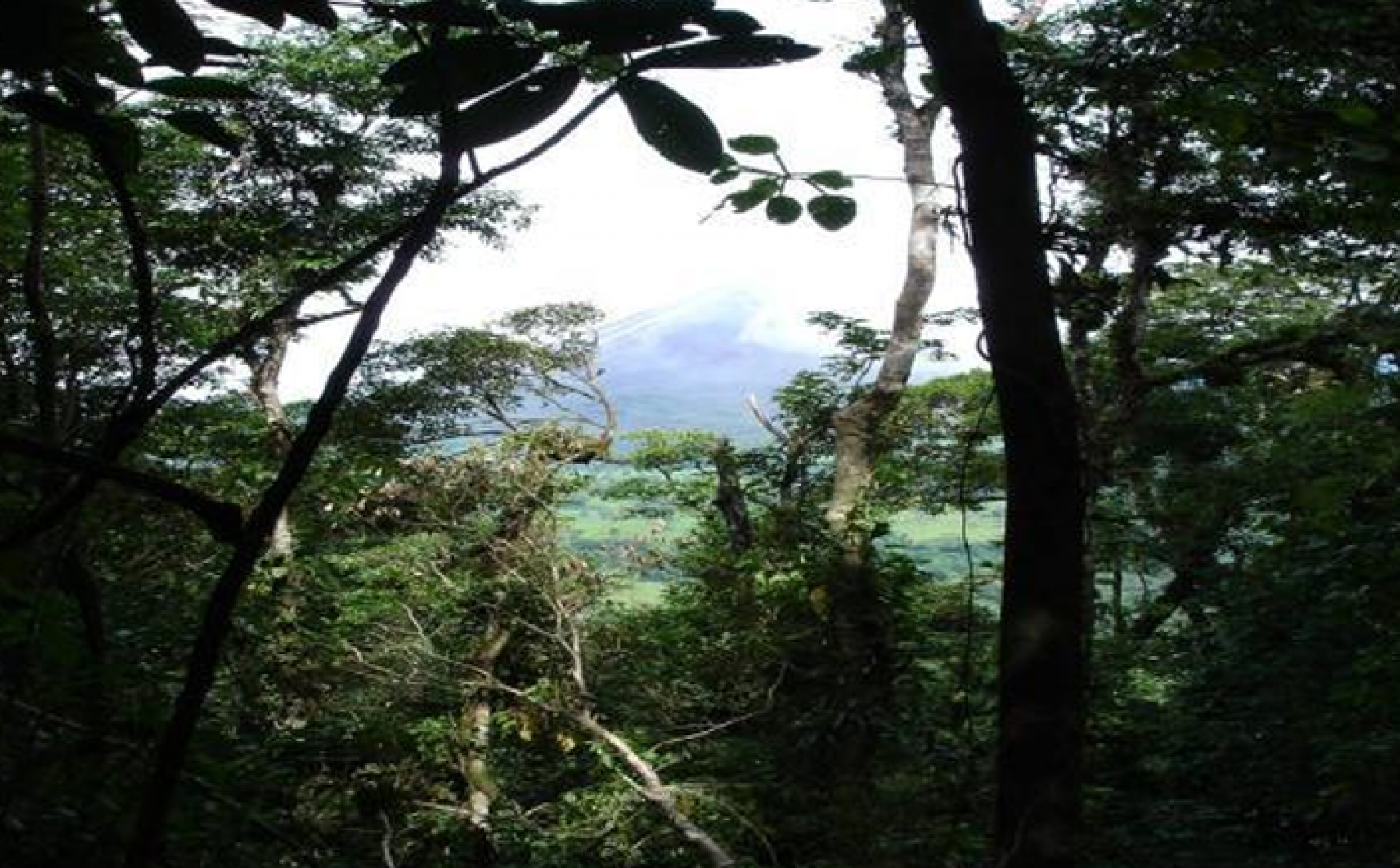 Exclusive Property in Arenal, Costa Rica – 20.3 Hectares with Volcano and Lake Views