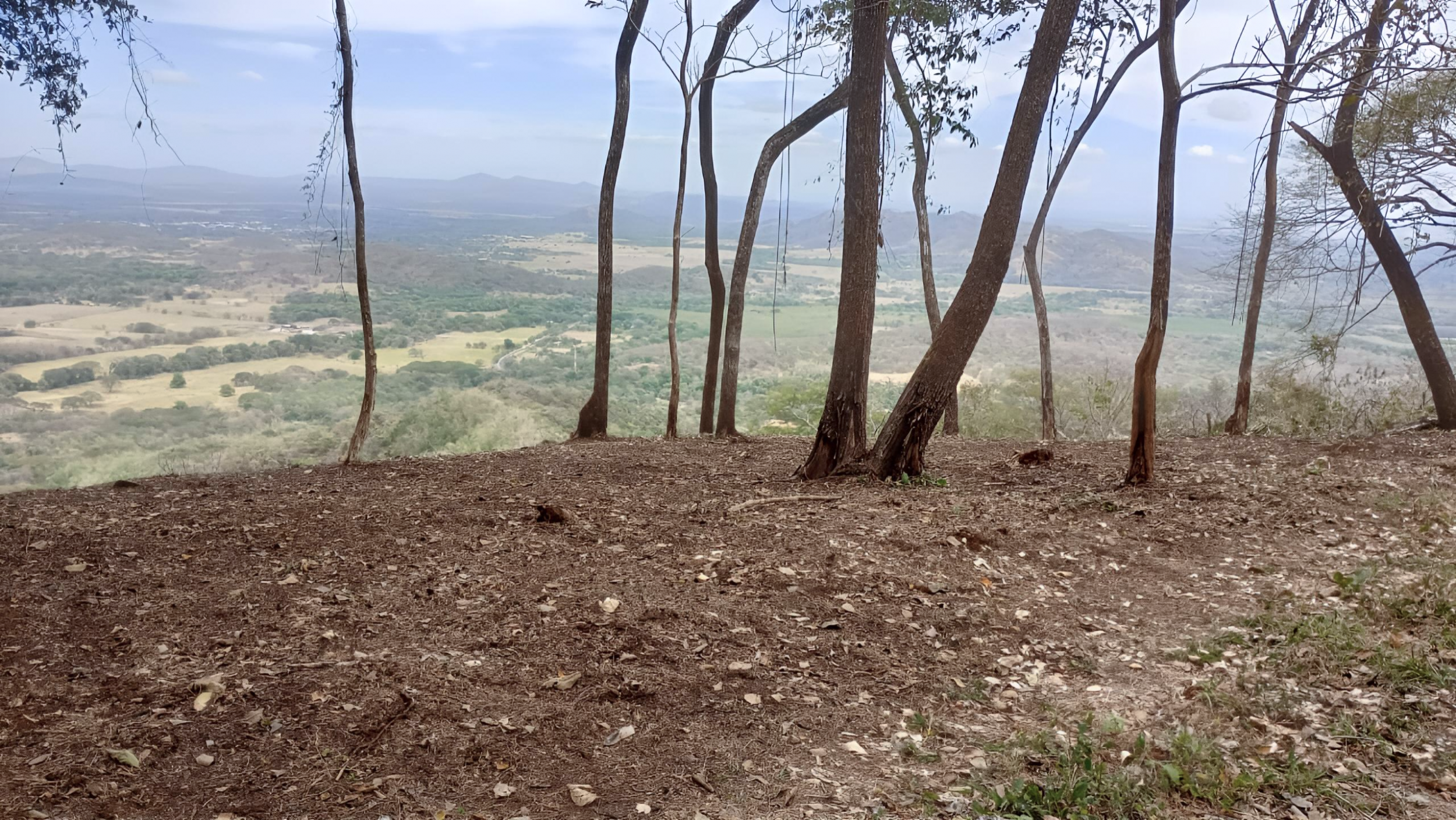 153-Hectare Ranch for Sale in Santa Cruz, Guanacaste – Natural Springs, Forest & Development Potential | $1,000,000