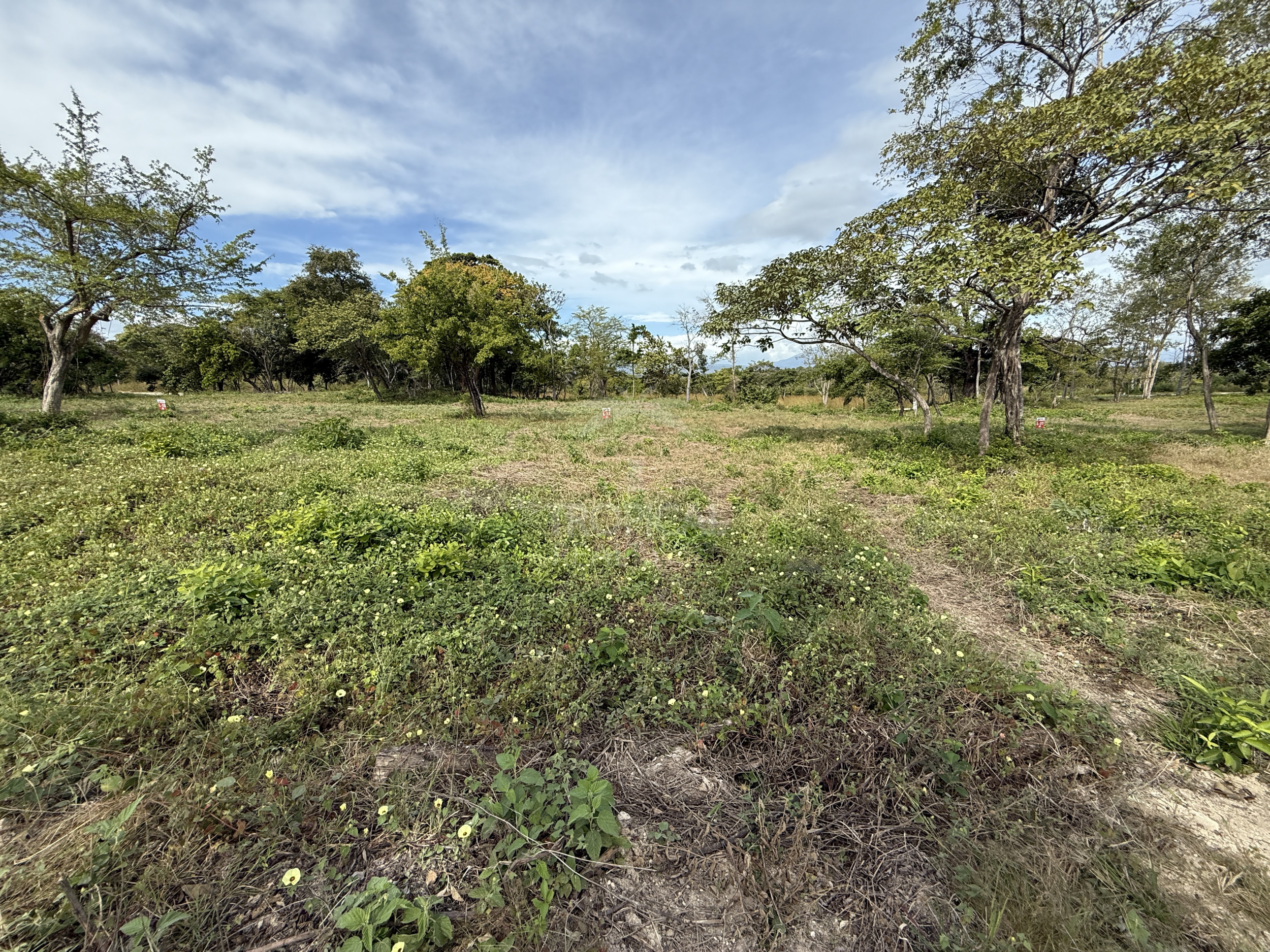 Pre-sale Lots with Private Access to Llanos de Cortés Waterfall SOLD