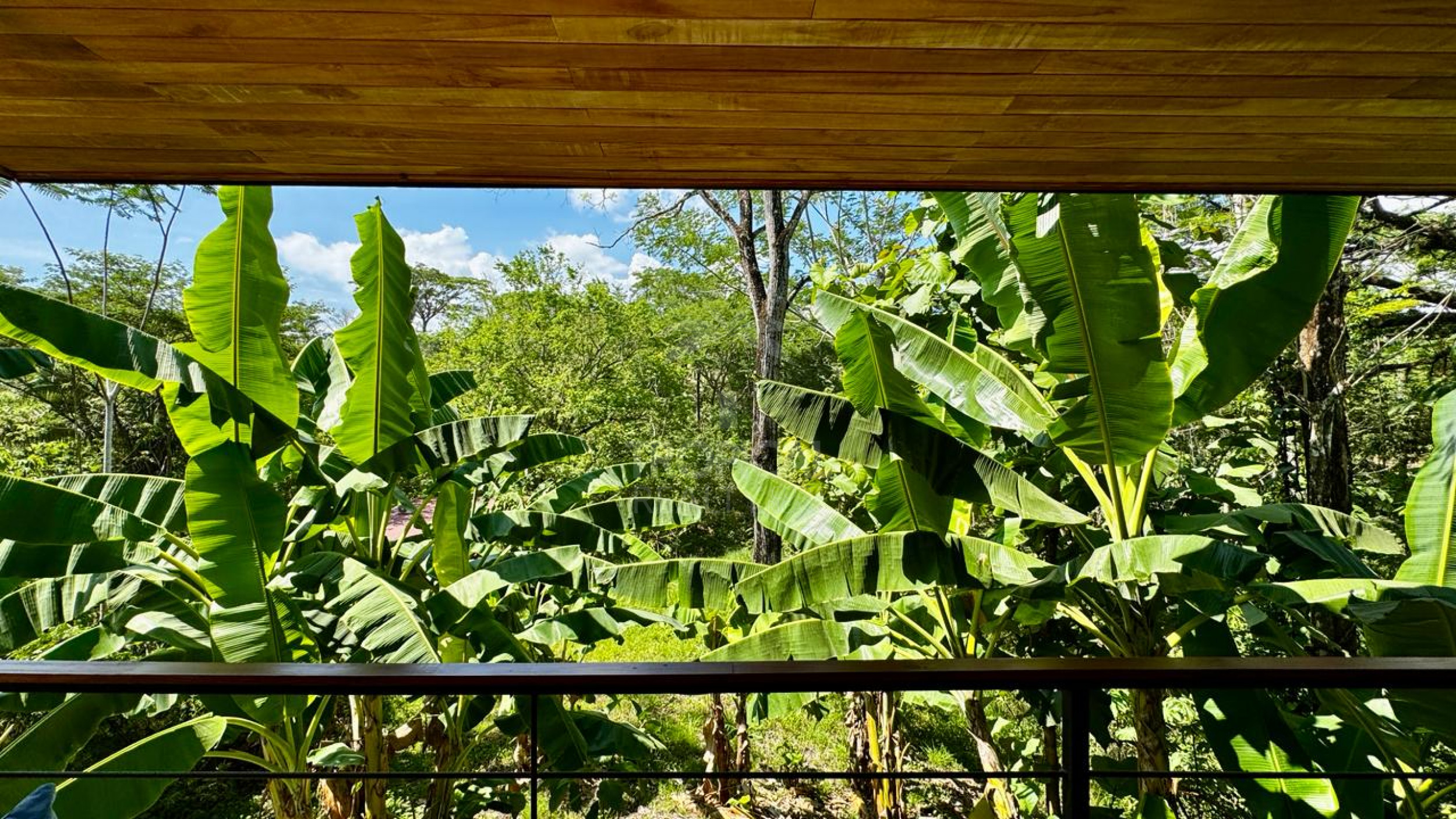 Charming One-Bedroom Home with Pool in Santiago – Just Minutes from Playa Hermosa