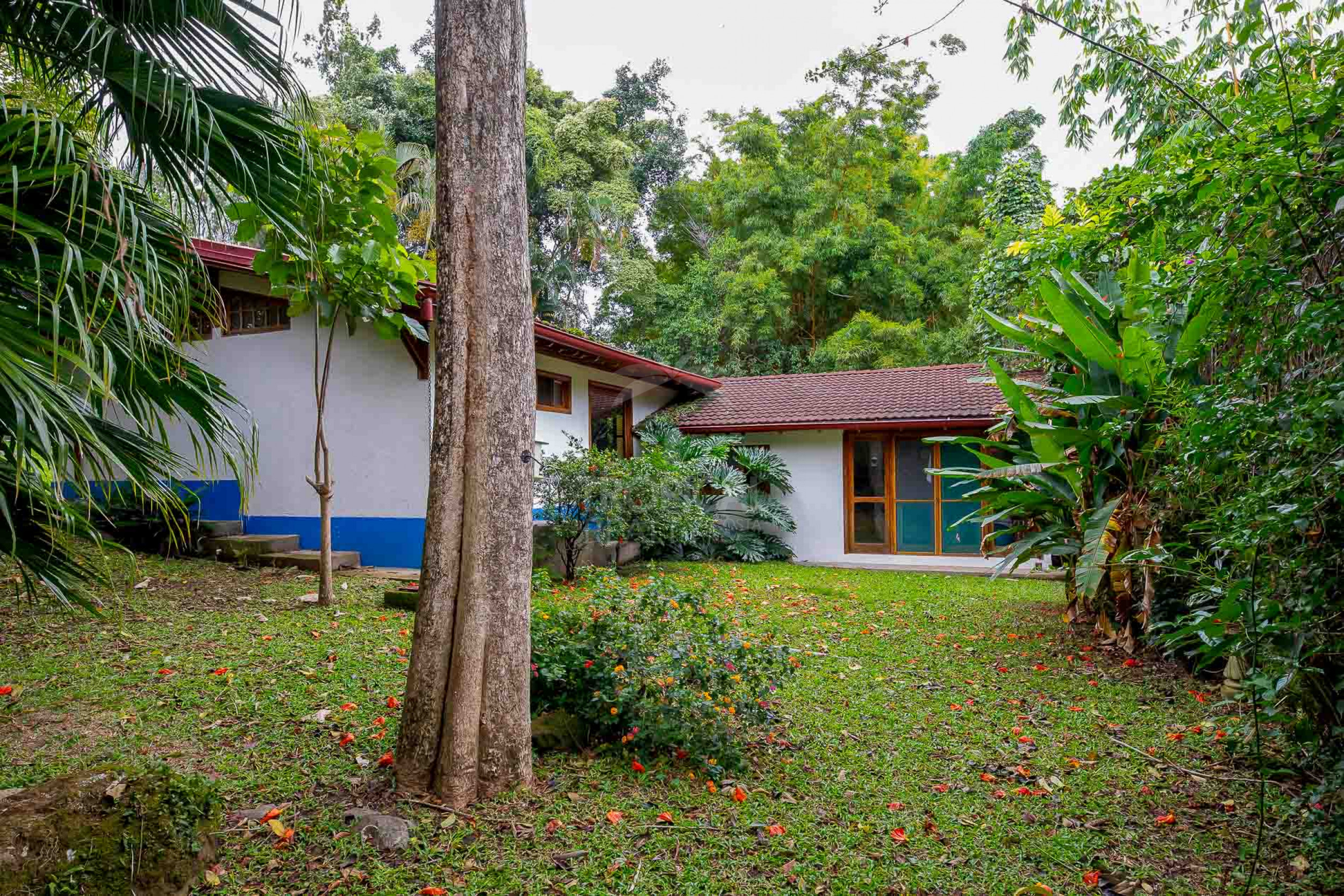 Coffee Hacienda-Style Home for Sale in Valle Verde, San Antonio de Escazú | Riverfront on the San Rafael River