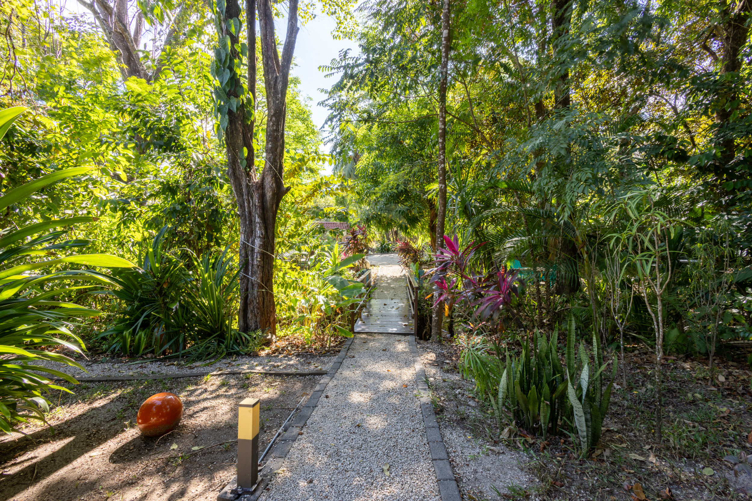 Cabañas en Venta en Montezuma | Inversión Turnkey cerca de Los Cedros