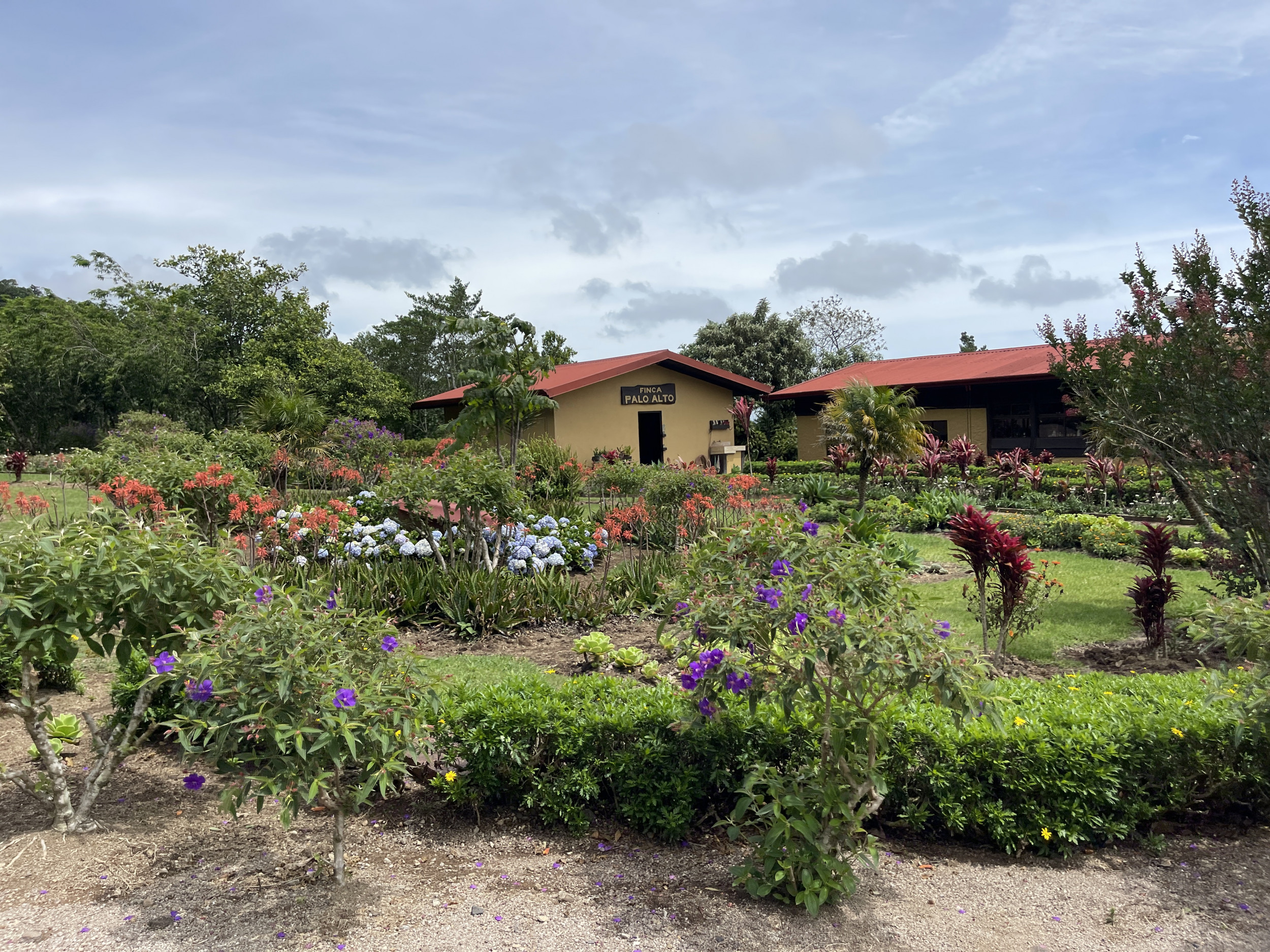 Charming Coffee Retreat Home with Stunning Views and Gourmet Coffee Plantations