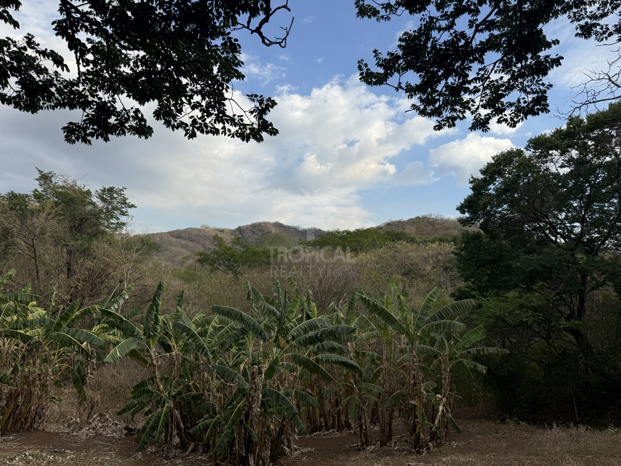 153-Hectare Ranch for Sale in Santa Cruz, Guanacaste – Natural Springs, Forest & Development Potential | $1,000,000