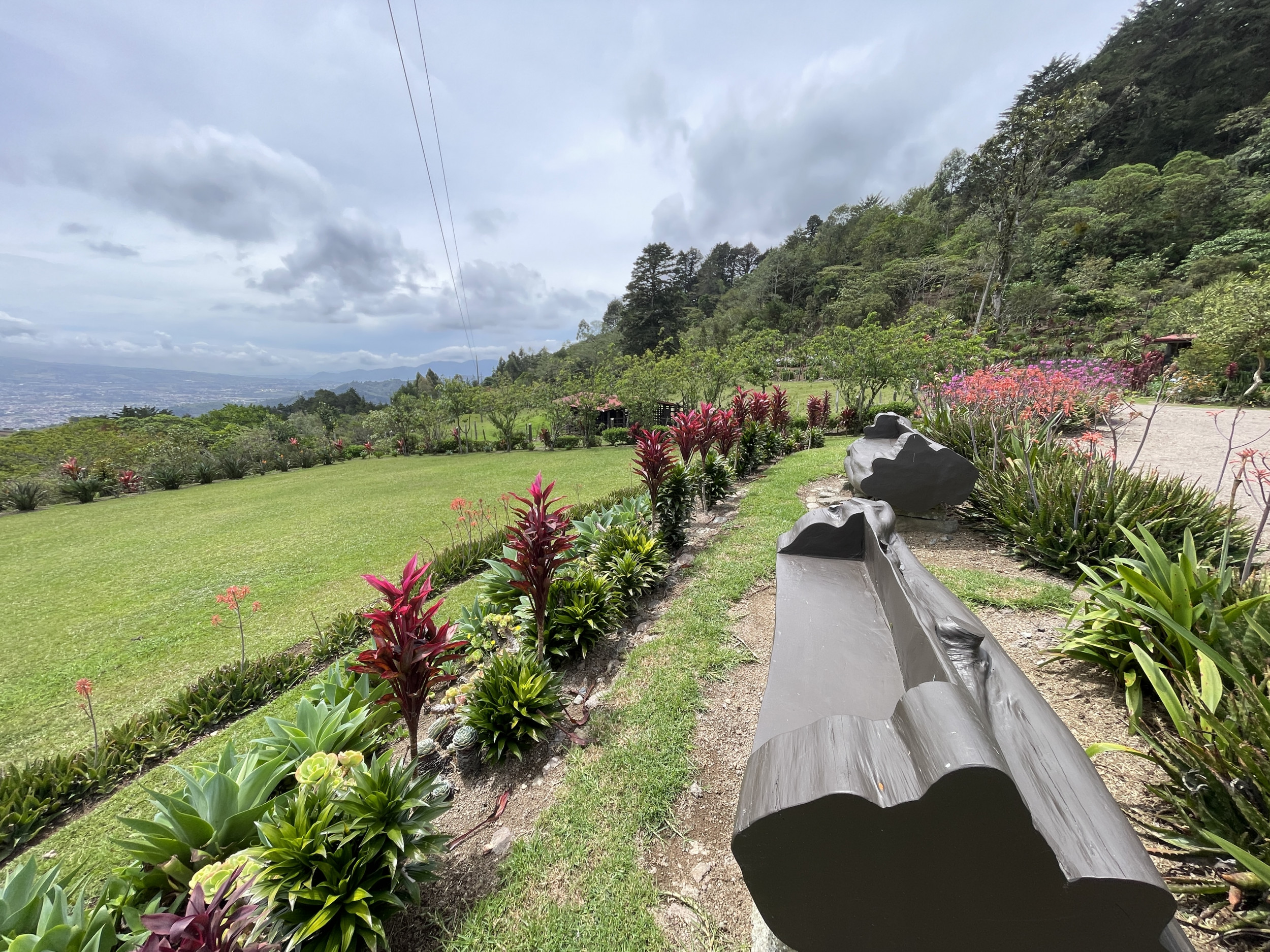 Charming Coffee Retreat Home with Stunning Views and Gourmet Coffee Plantations