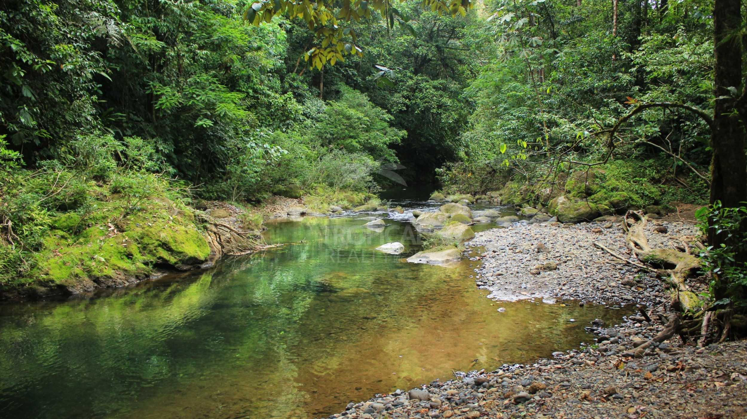 For Sale: Nature Lover’s Paradise in Sarapiquí – 24.7 Acres with Two Rivers | Bijagual, Heredia