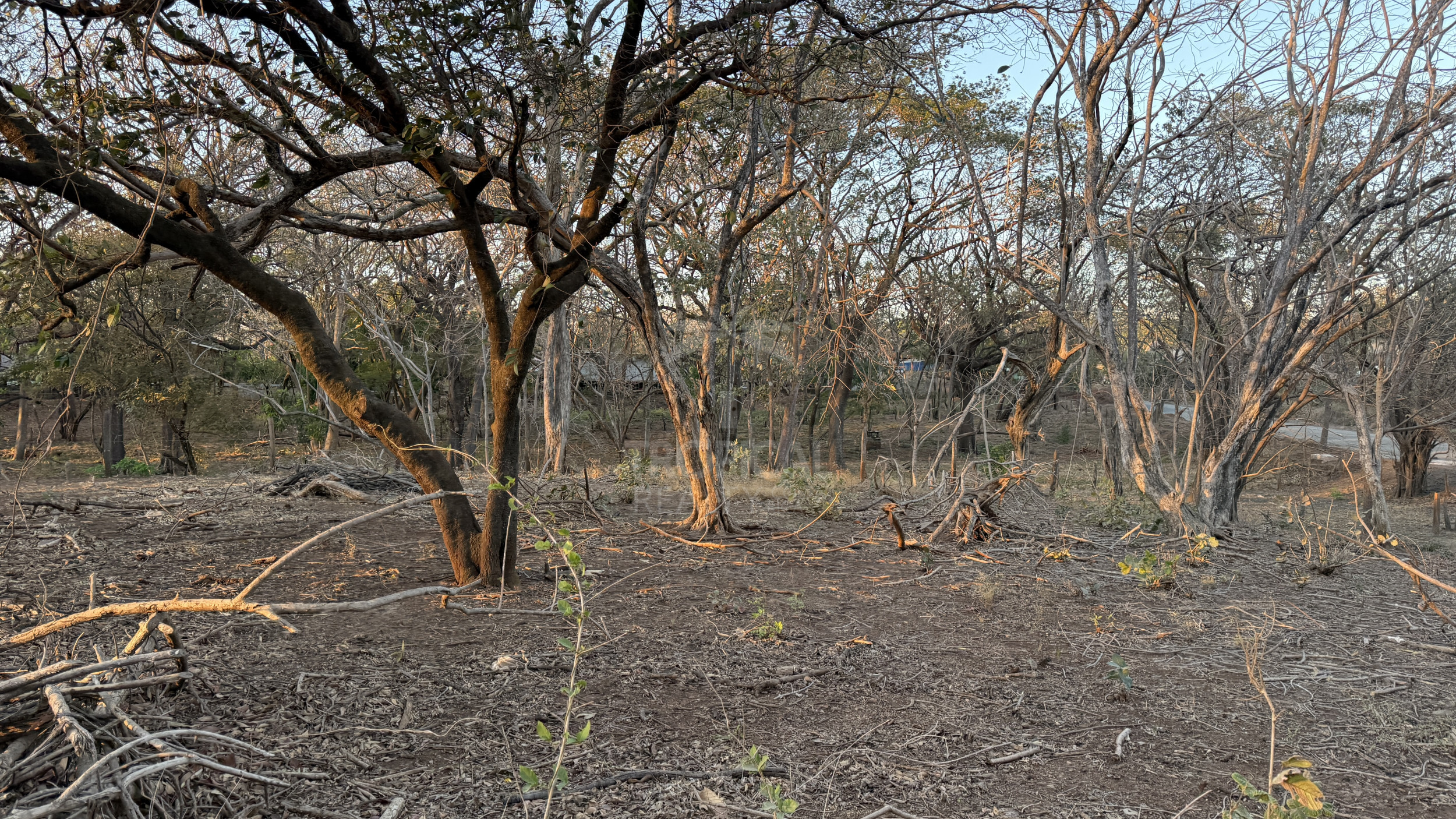 Unique Investment Opportunity – Beachfront Lot for Sale in Guanacaste