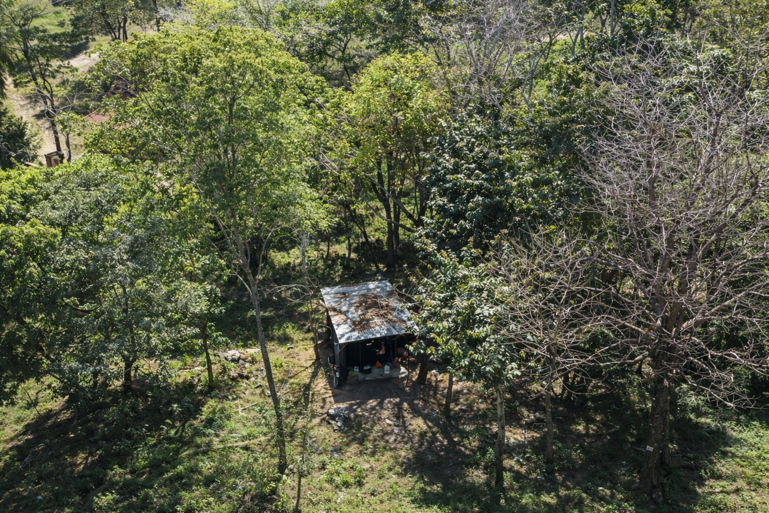 Investment Opportunity in Santa Teresa – Prime Development Potential