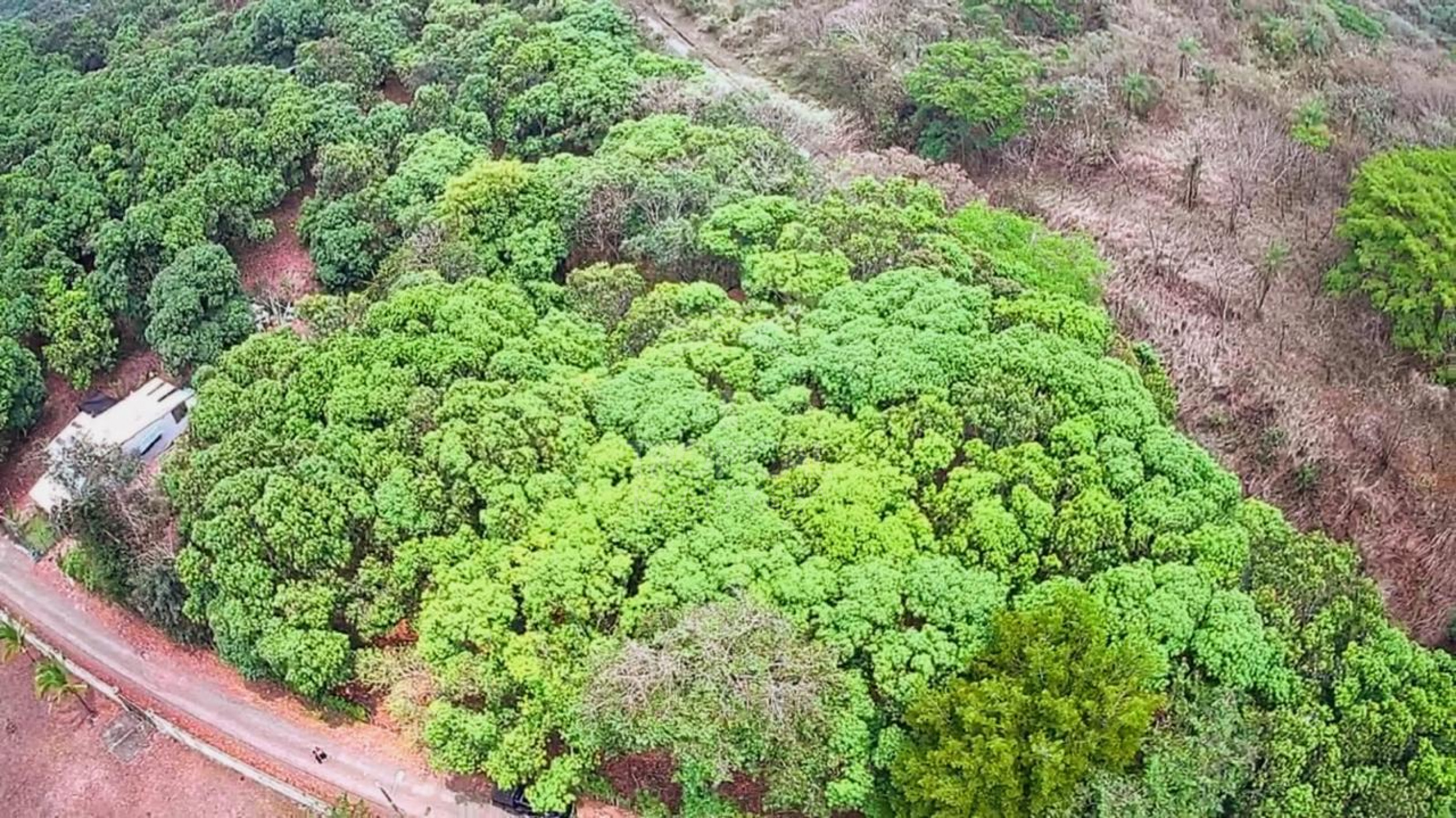 Strategic 1,312 m² Lot for Sale – Orotina, Alajuela | Frontage on Route 27