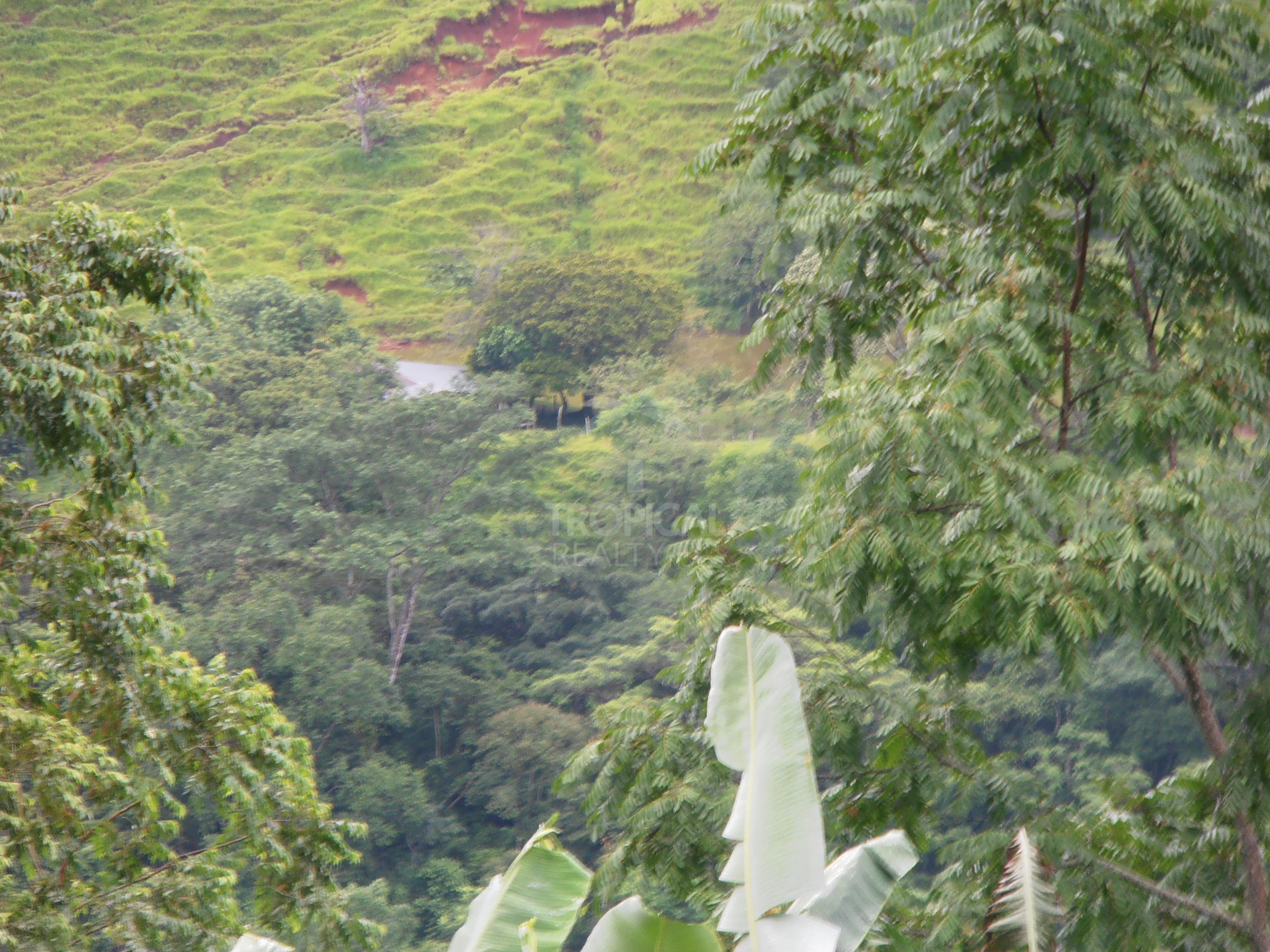 210-Hectare Farm for Sale in Tulín, Puriscal | 519 acres