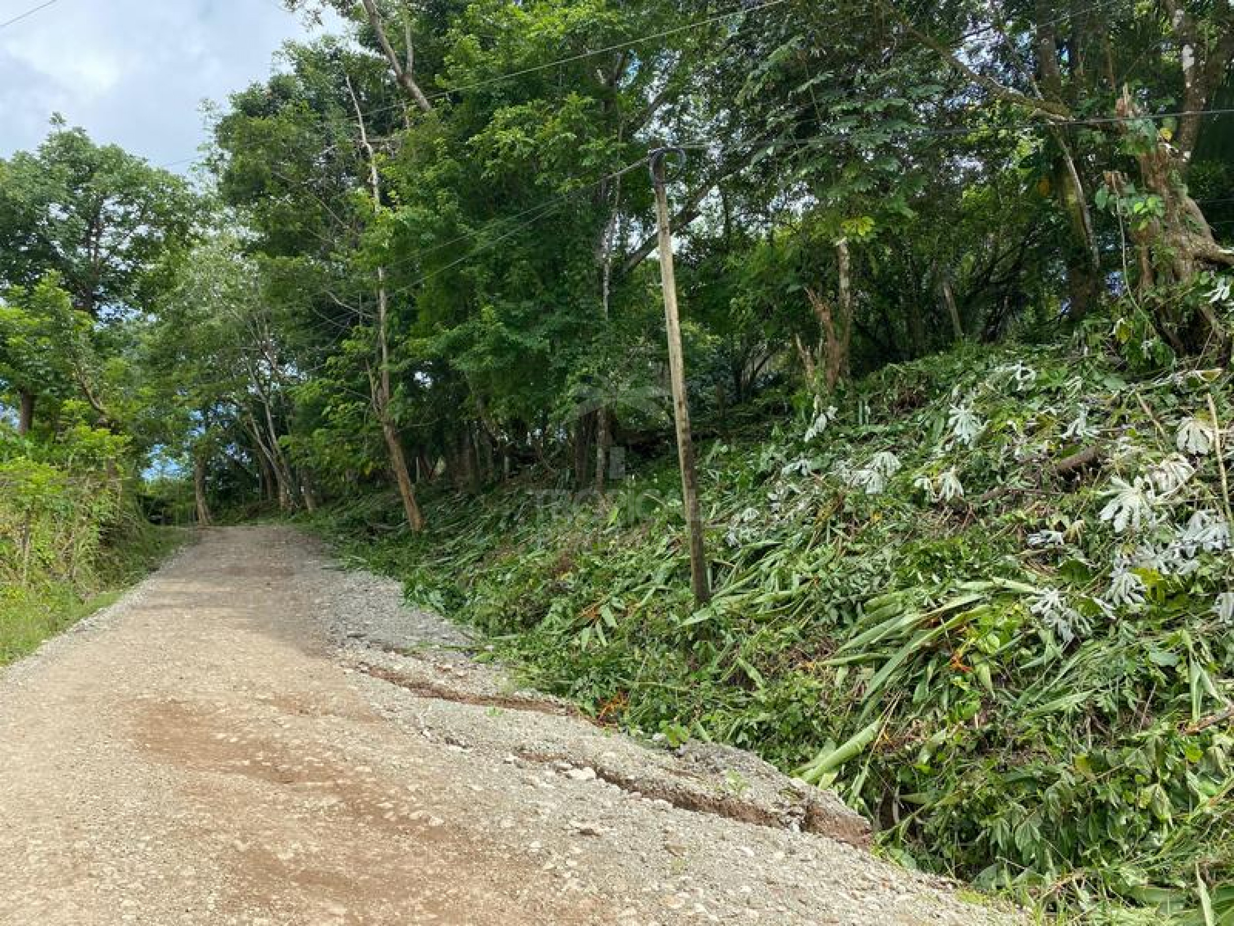 Strategic Commercial Lot in Cabuya – High Visibility and Outstanding Development Potential