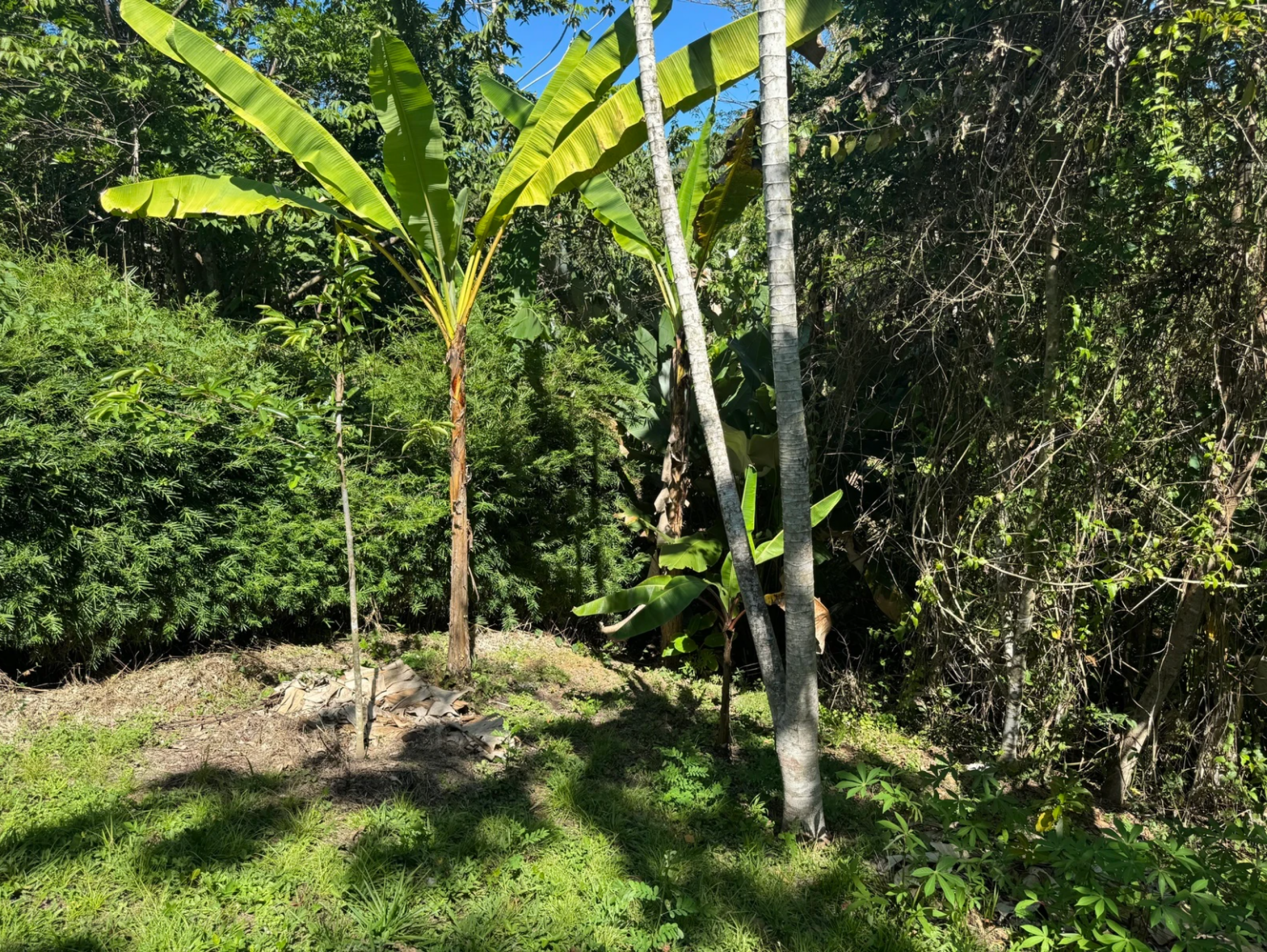 1,527 m² Lot in La Palmita – Nature & Close to Playa Hermosa