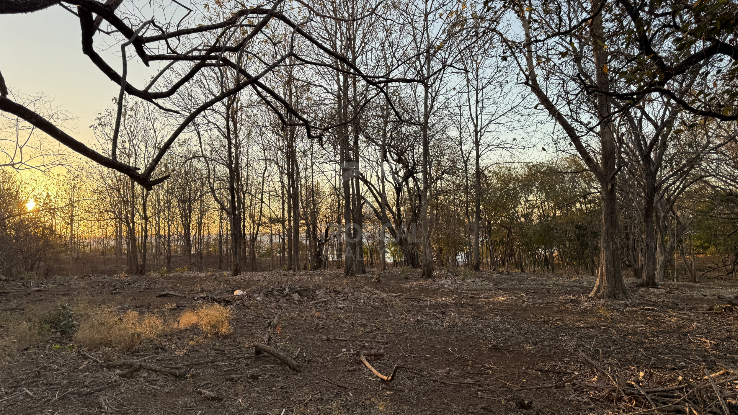 Unique Investment Opportunity – Beachfront Lot for Sale in Guanacaste