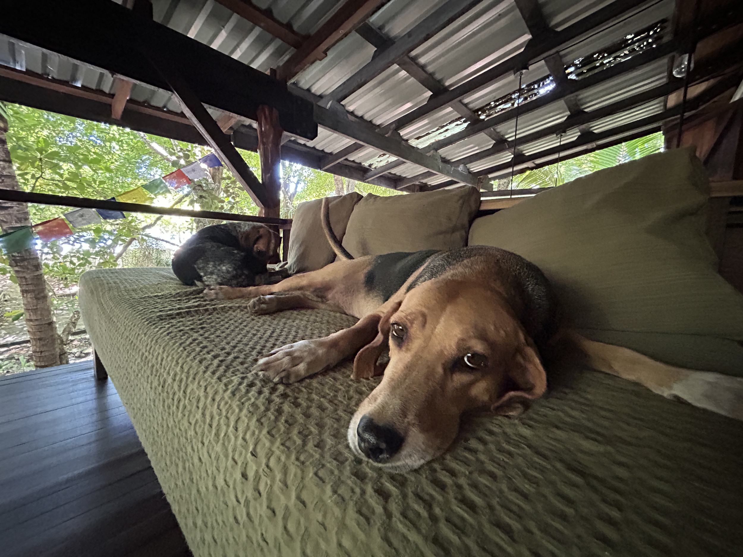 Beachfront house for rent in Santa Teresa