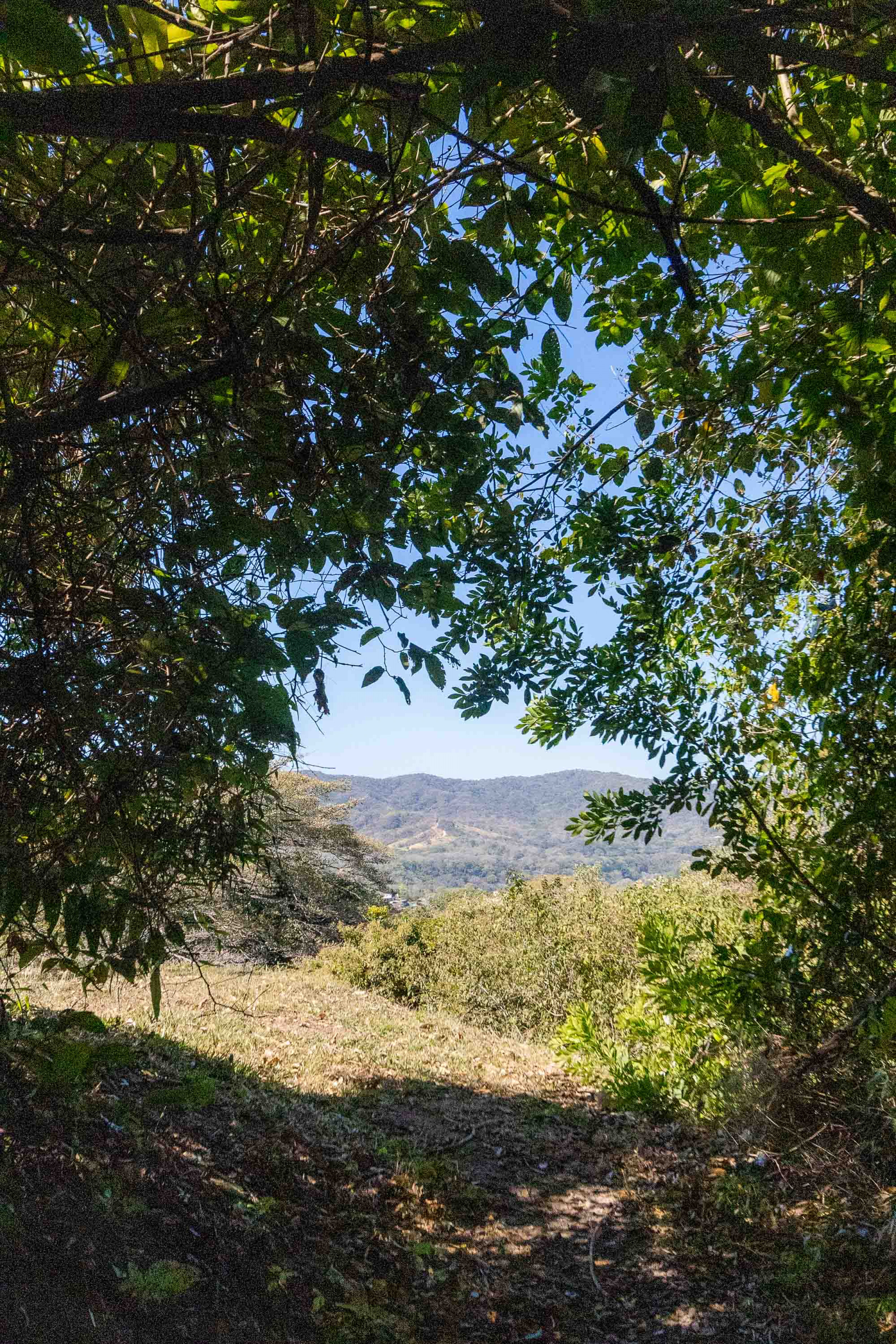 Stunning Lot with Views in Cerro Colón, Ciudad Colón