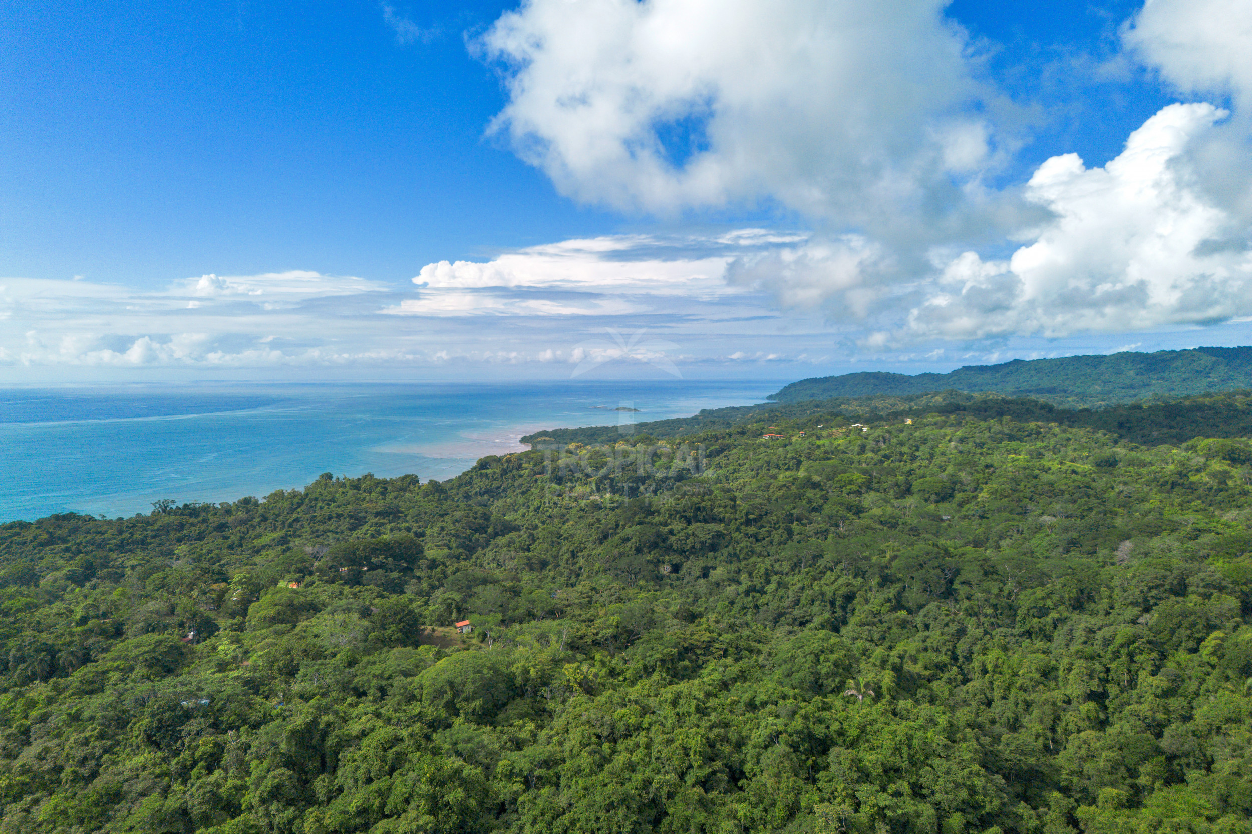 Modern Jungle Villa in Las Delicias – Santa Teresa