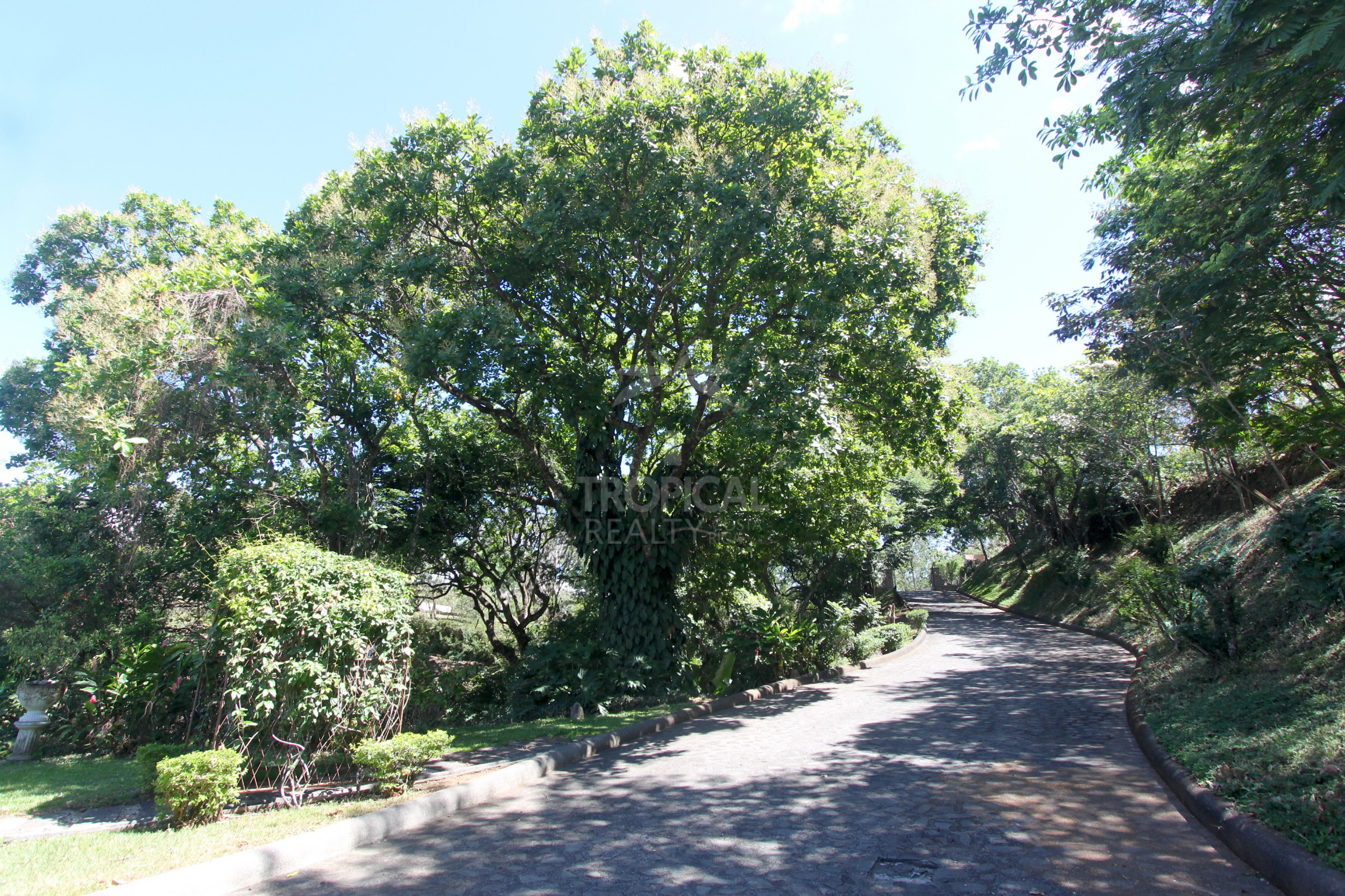Luxury Home in La Guácima with Private Forest & Panoramic Views