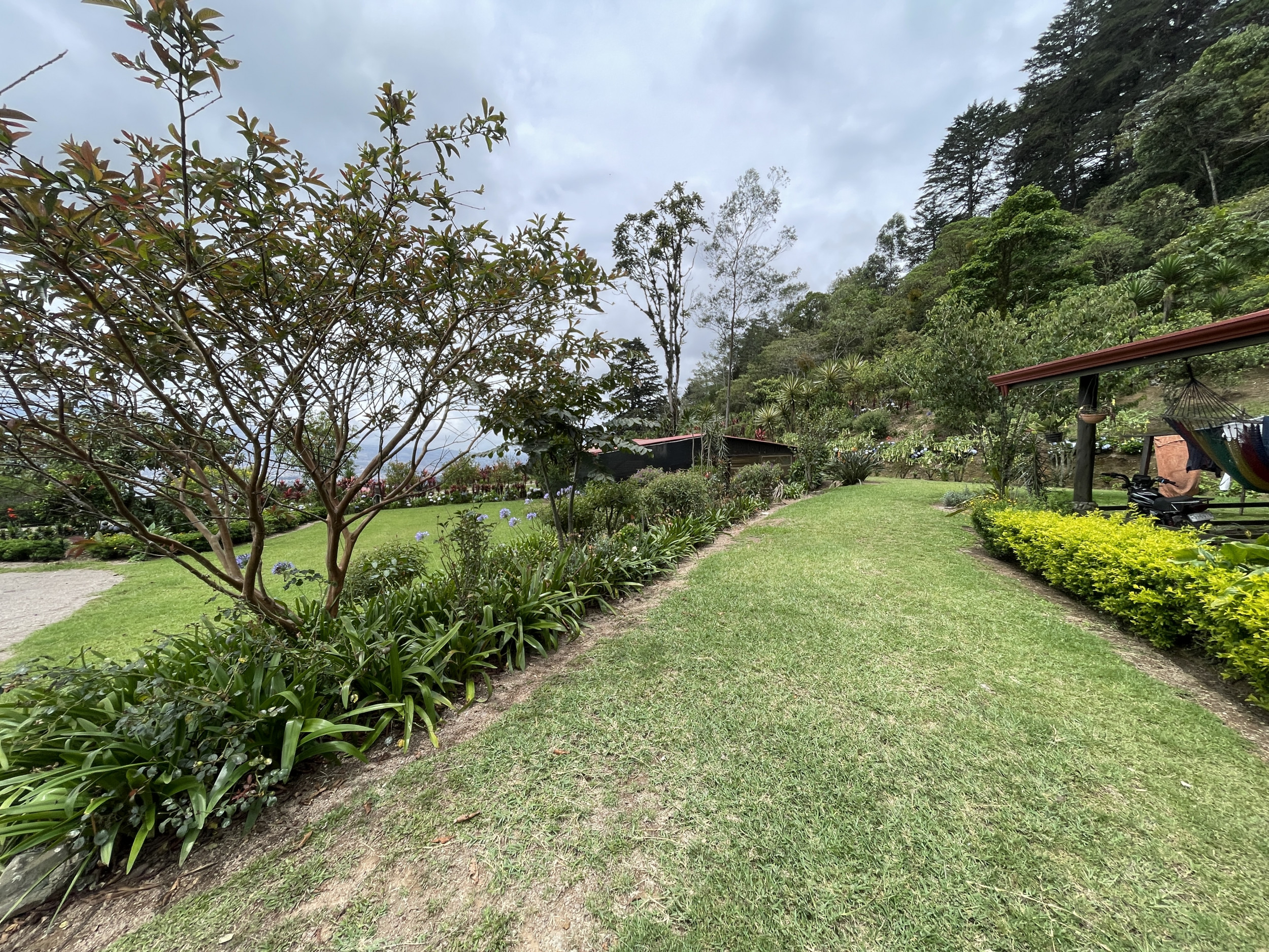 Charming Coffee Retreat Home with Stunning Views and Gourmet Coffee Plantations