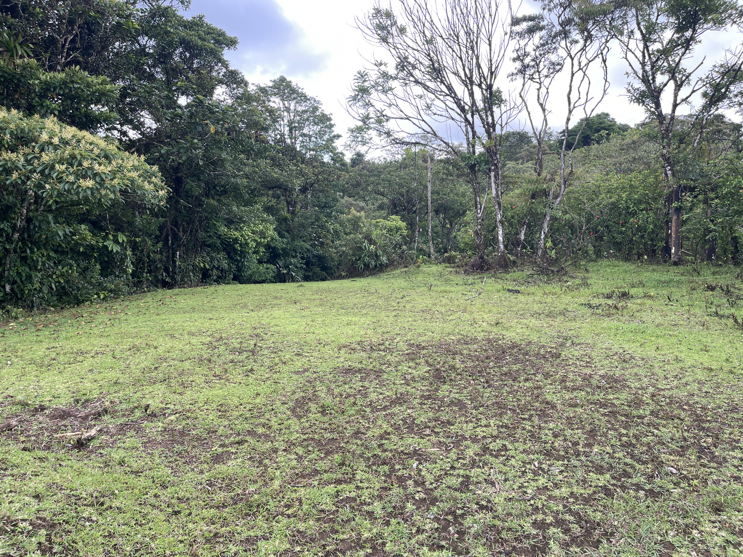 65-Acre Lakeview Property in Nuevo Arenal, Ideal for Family Residential Development