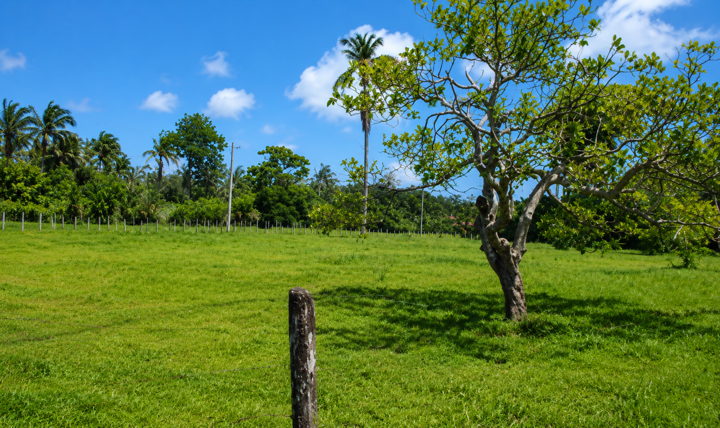 Large Development Property for Sale in Limón | 29.8 Hectares in Costa Rica’s Caribbean Region