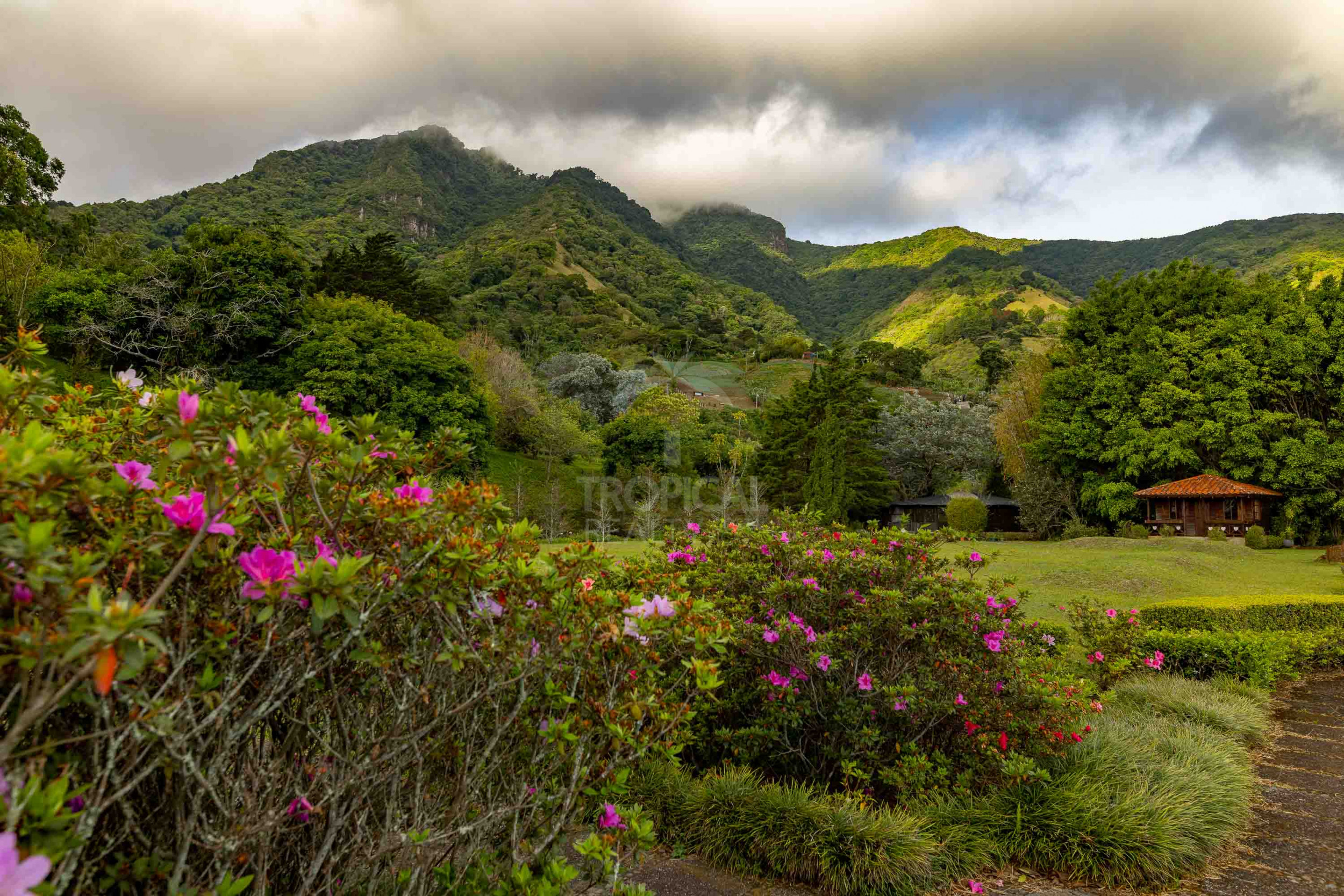 Las Catalinas de Pico Blanco – Costa Rica's Iconic Mountain Estate