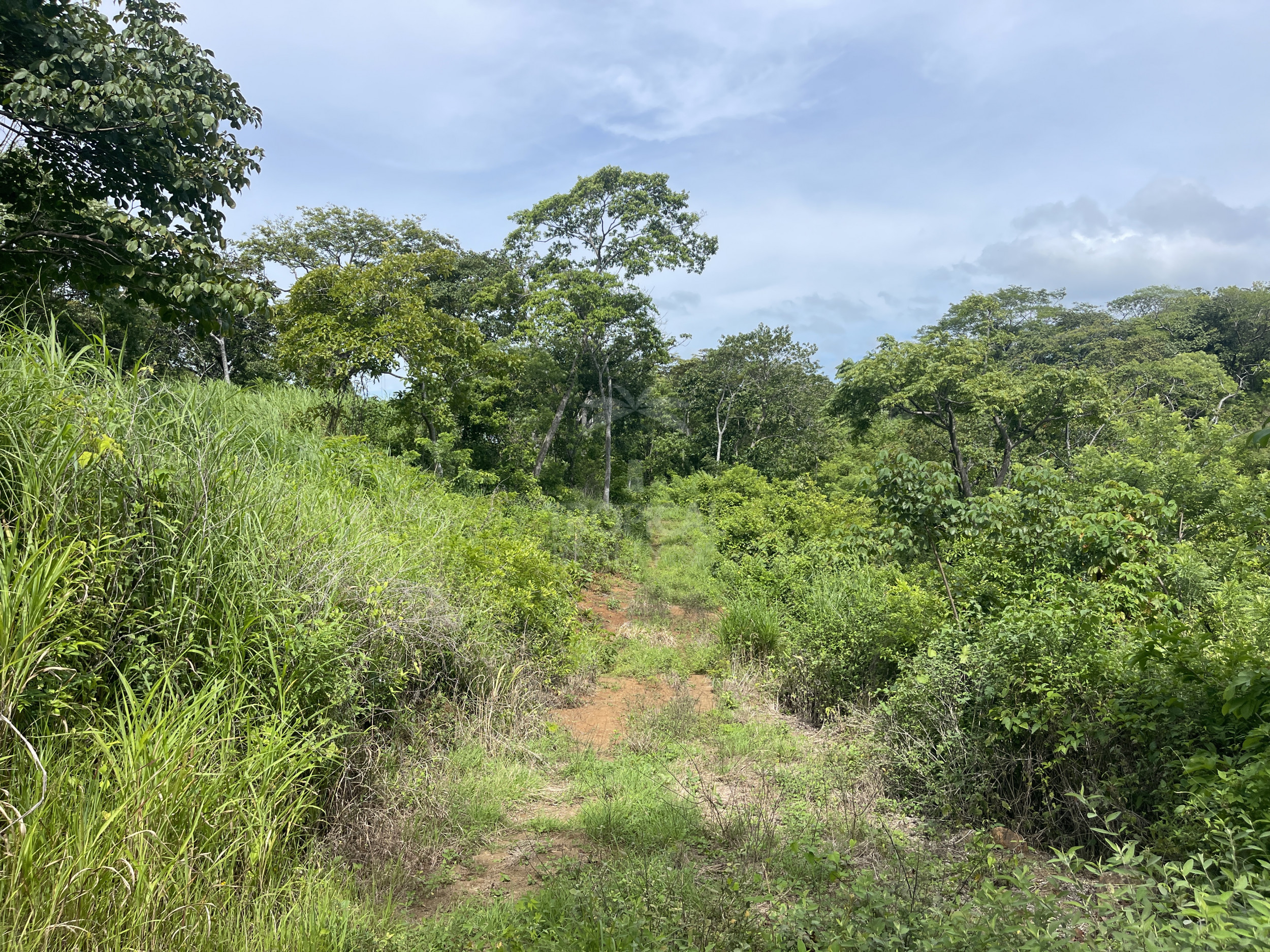 Nuevo Colon 1,24 acres - 5000m2 Estate with Panoramic Ocean Views in Guanacaste