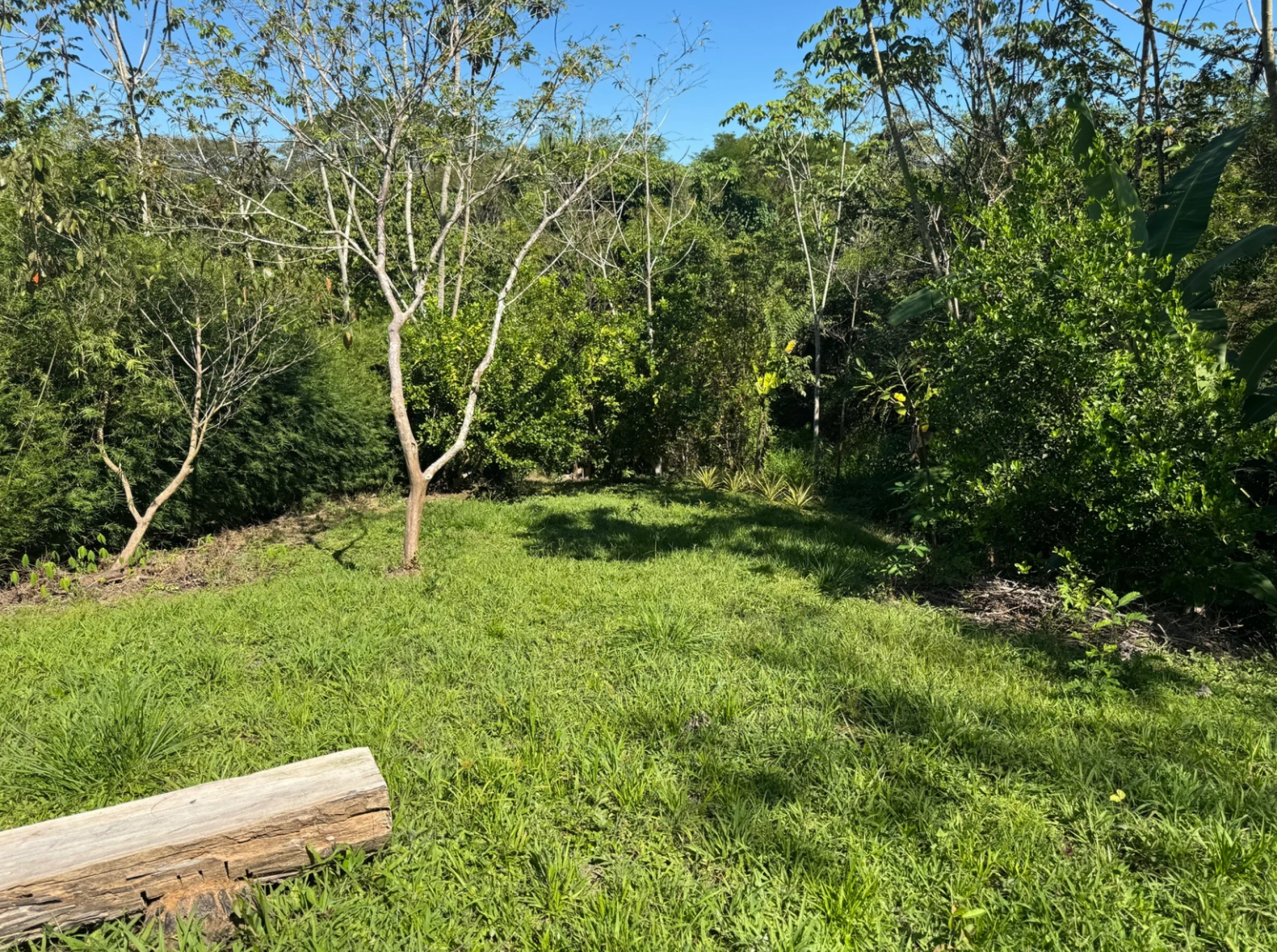 1,527 m² Lot in La Palmita – Nature & Close to Playa Hermosa