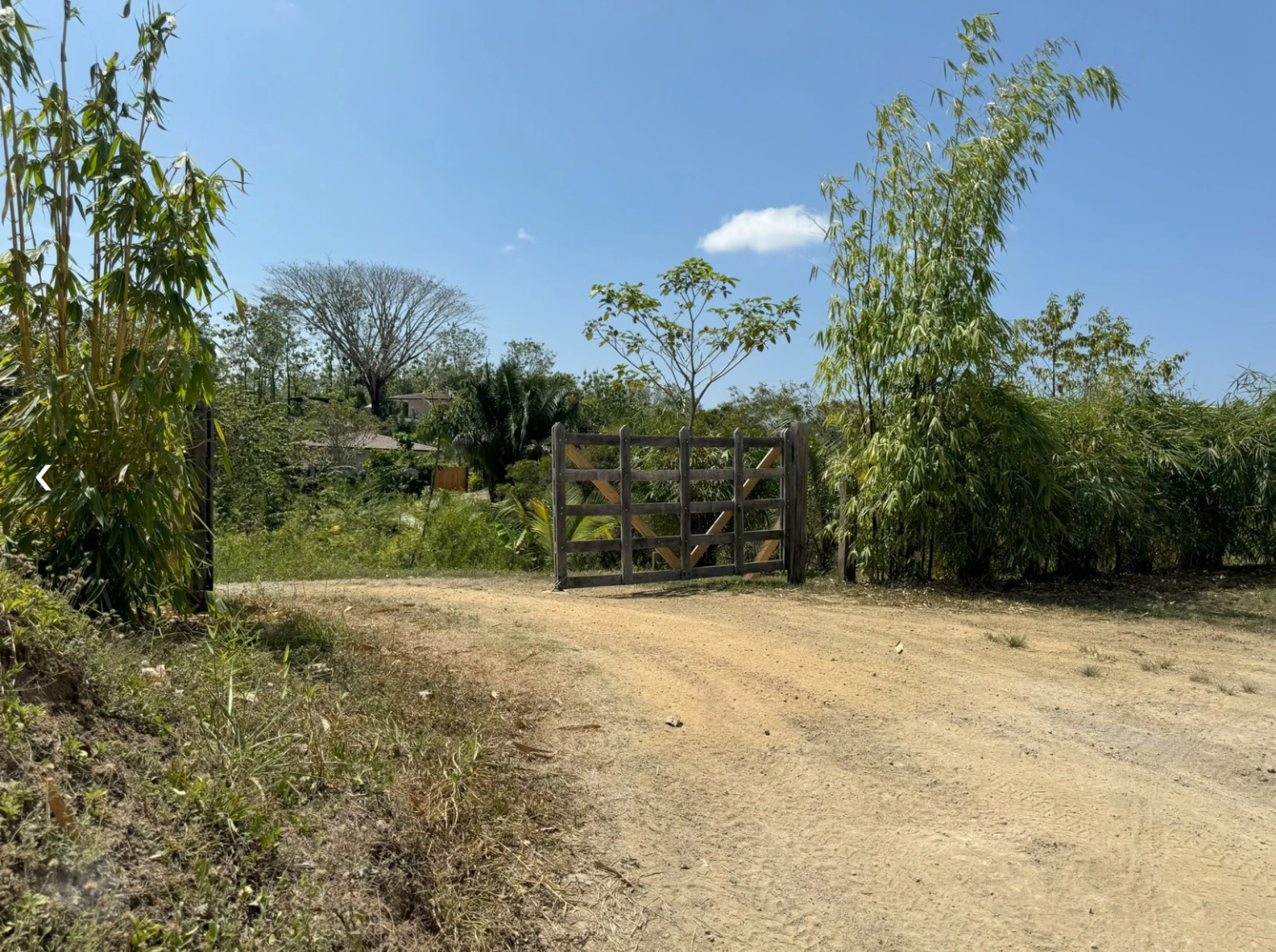 Regenerative Community Lot in San Isidro – Nature & Conscious Living
