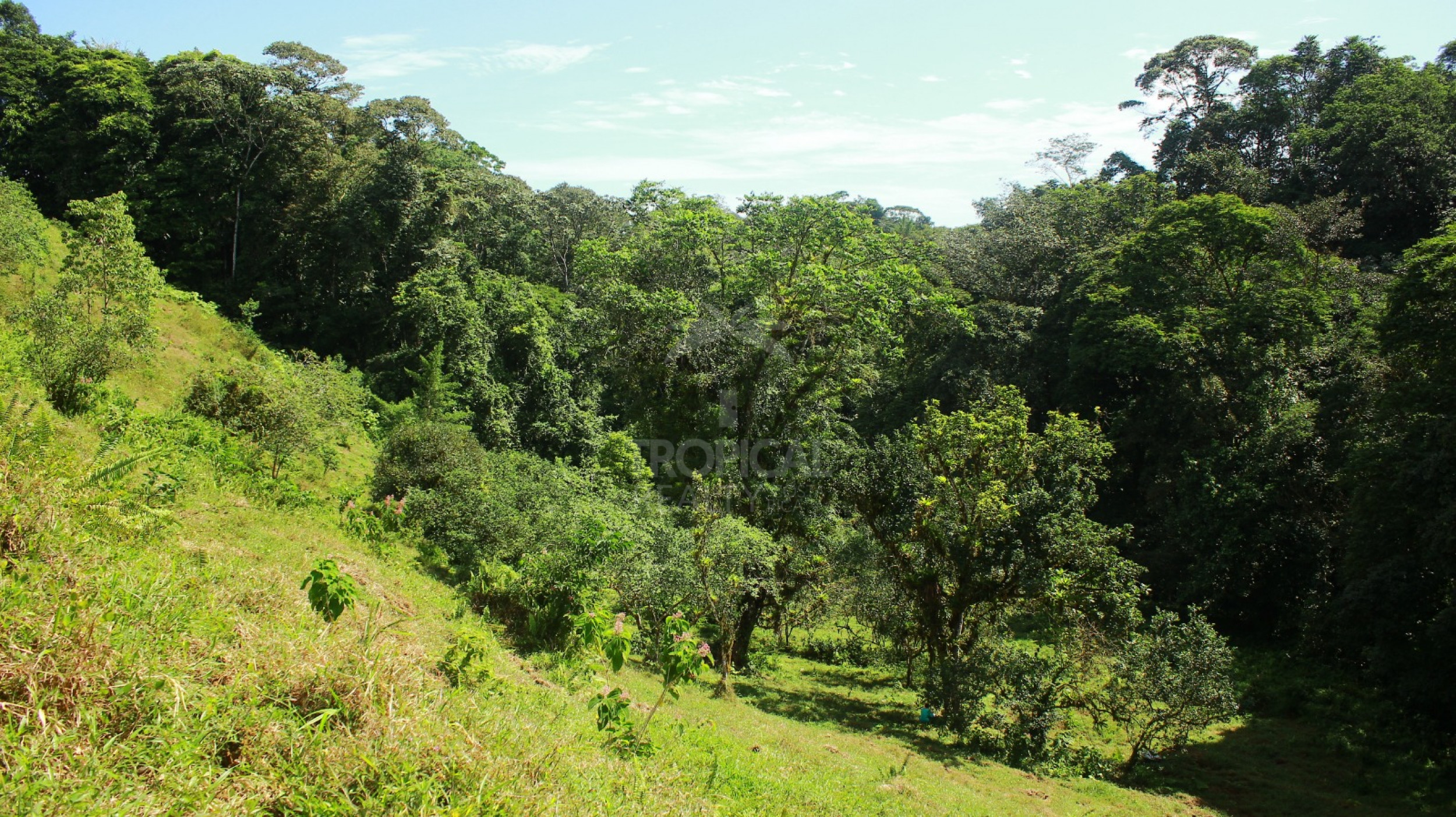 For Sale: Nature Lover’s Paradise in Sarapiquí – 24.7 Acres with Two Rivers | Bijagual, Heredia
