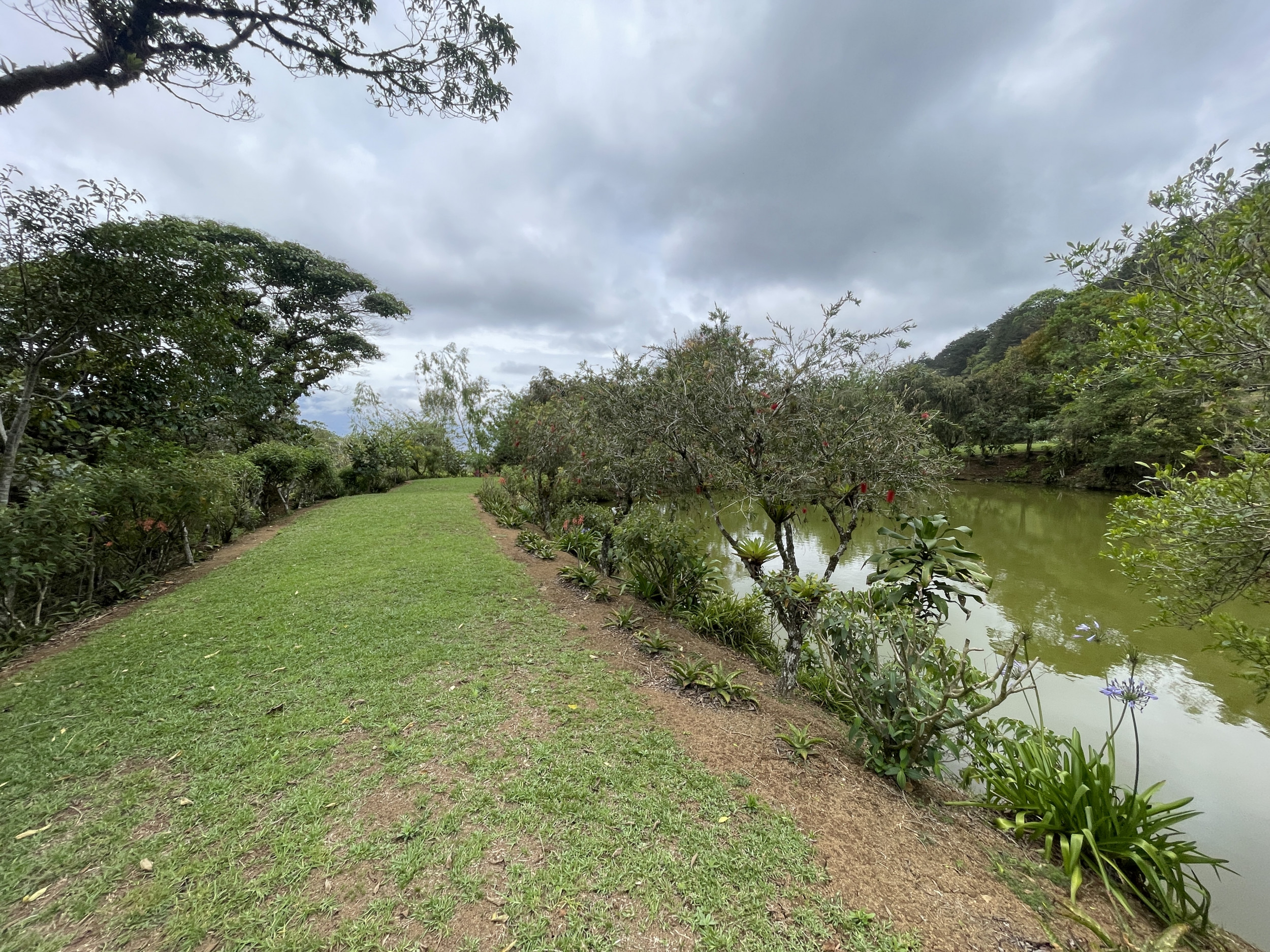 Charming Coffee Retreat Home with Stunning Views and Gourmet Coffee Plantations