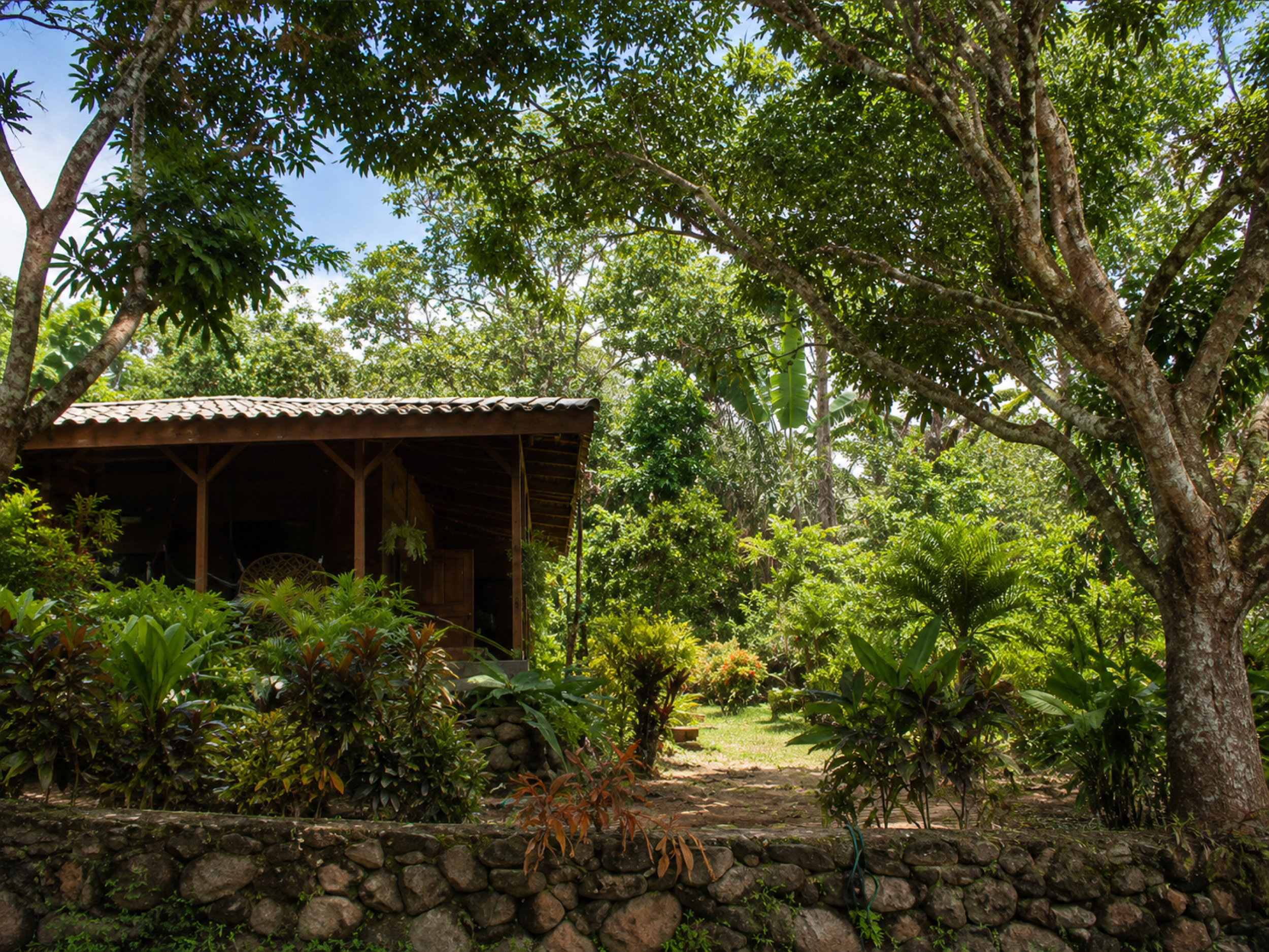 95-Acre Farm for Sale in Vainilla, Tambor – Nature, Agriculture & Development Opportunity
