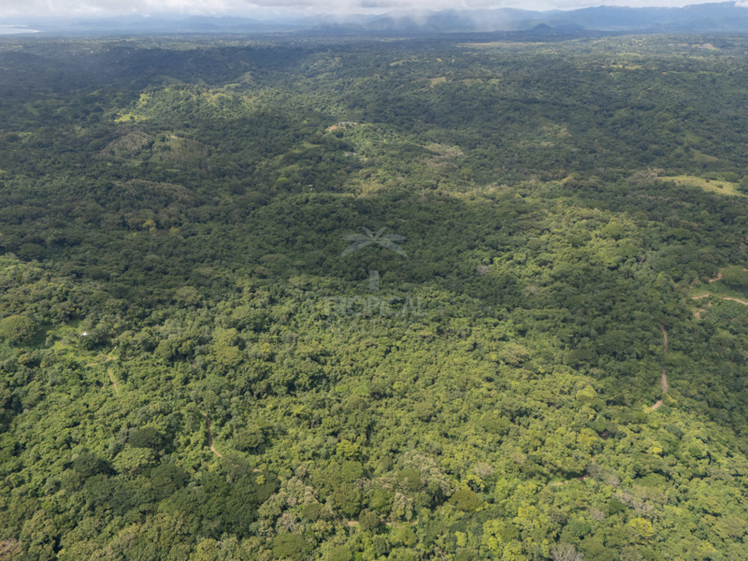 Strategic Commercial Lot in Cabuya – High Visibility and Outstanding Development Potential