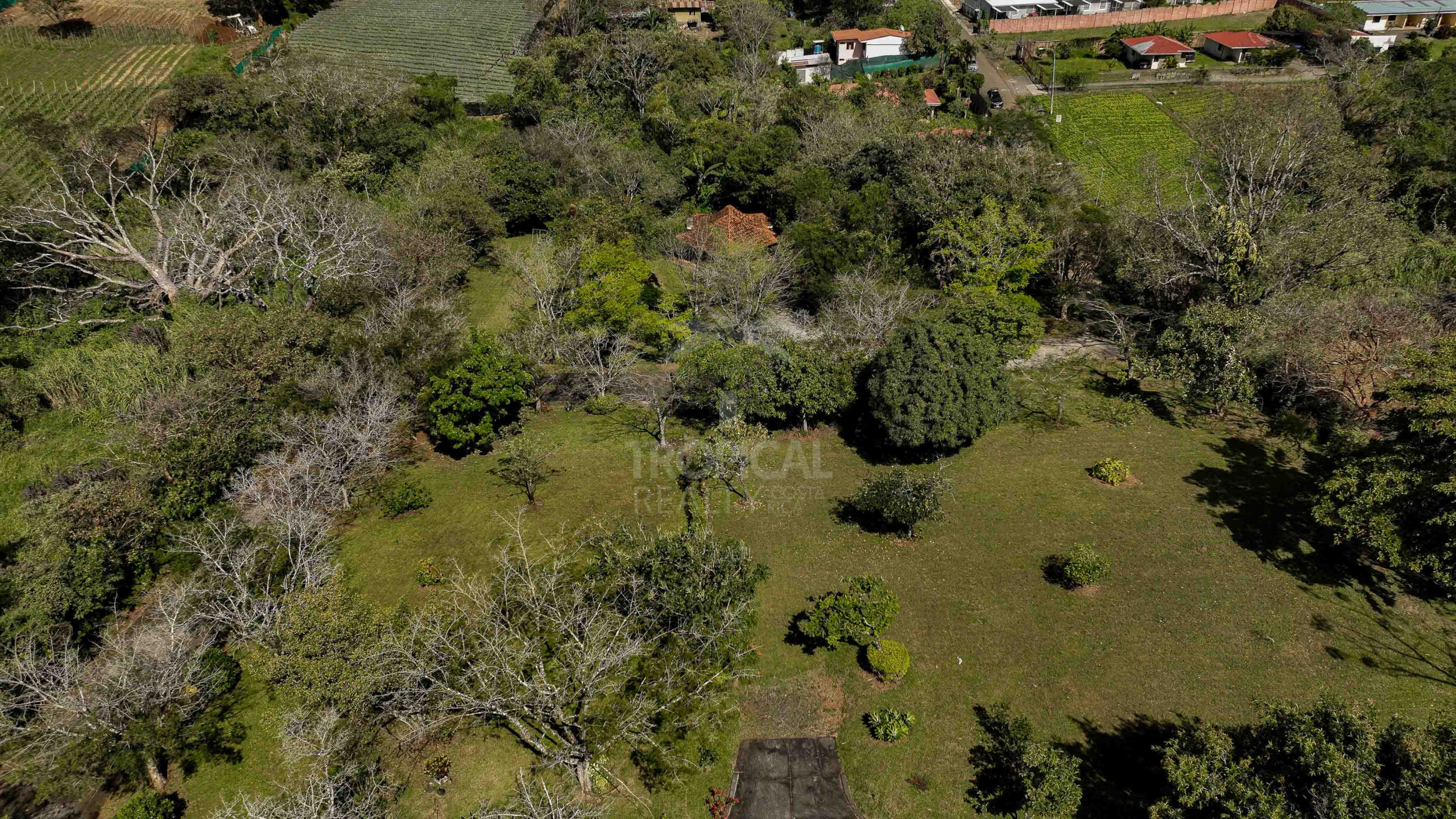 Prime Land for Development – La Guácima
