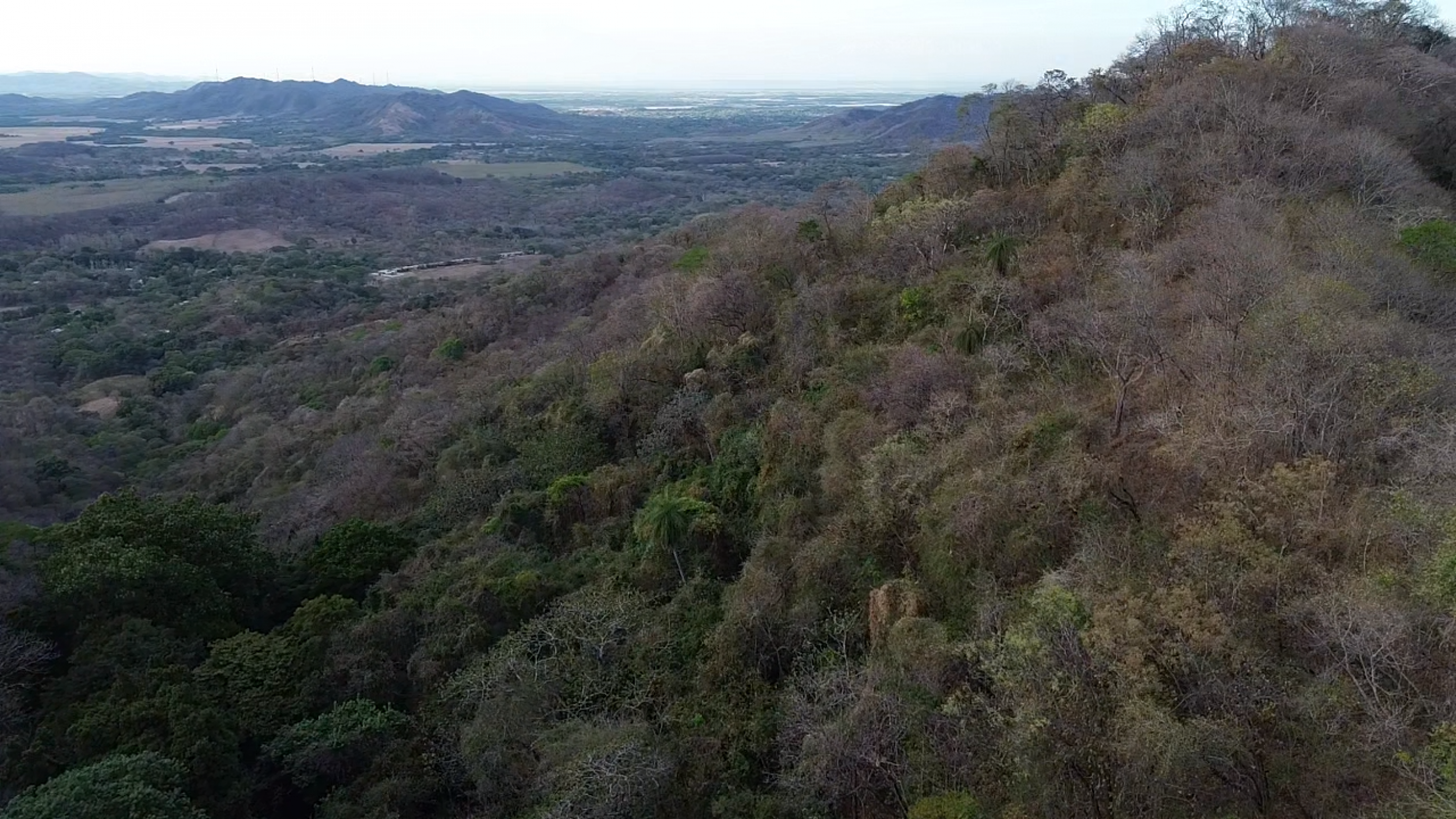 153-Hectare Ranch for Sale in Santa Cruz, Guanacaste – Natural Springs, Forest & Development Potential | $1,000,000