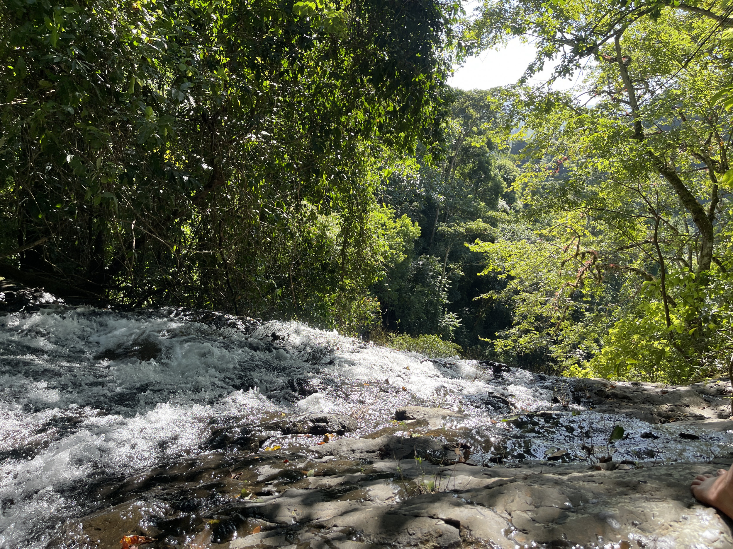 Spectacular Farm for Sale in Cobano, Puntarenas: Ocean Views to Santa Teresa, Lush Nature, and Included Waterfall
