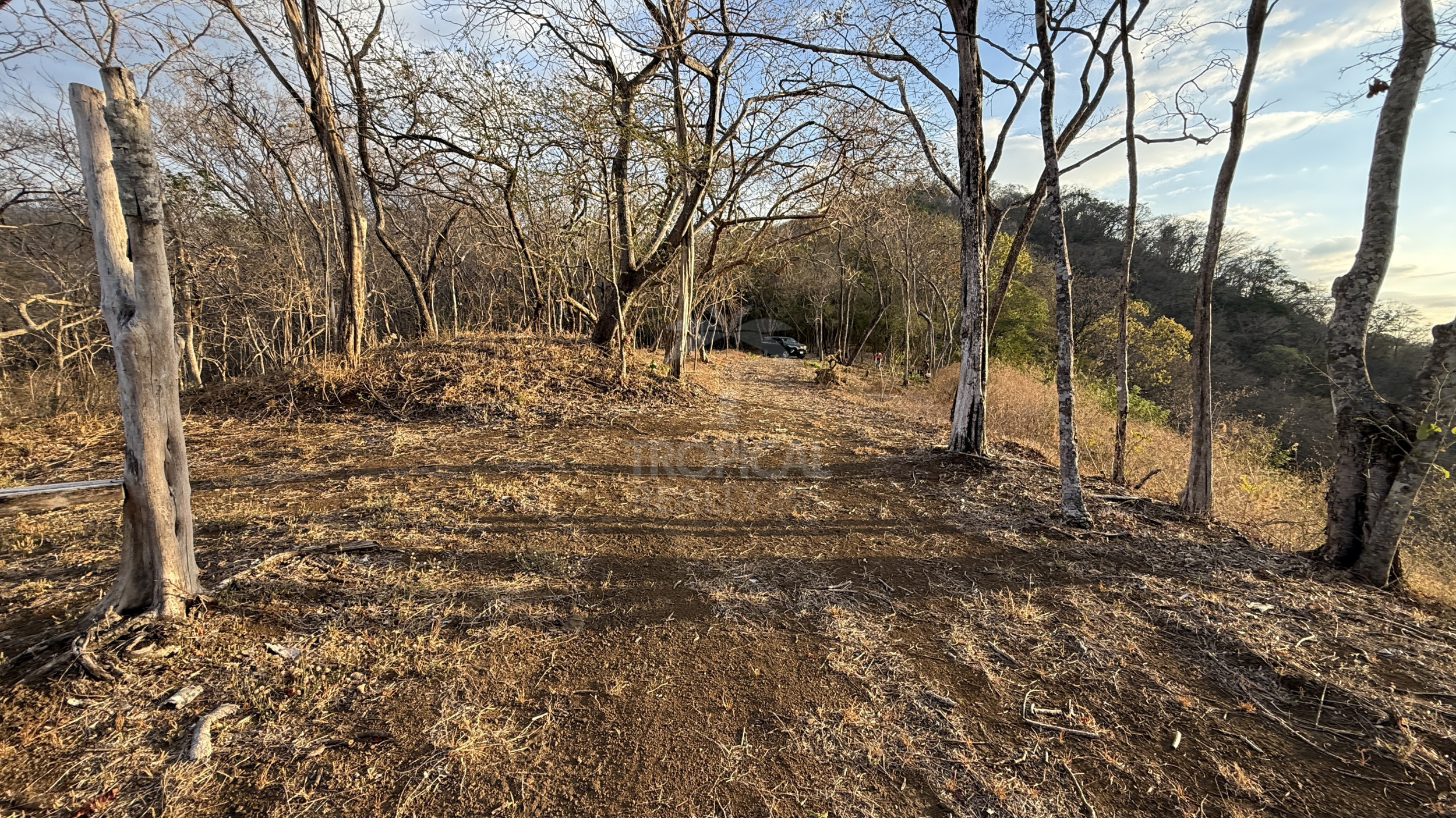 153-Hectare Ranch for Sale in Santa Cruz, Guanacaste – Natural Springs, Forest & Development Potential | $1,000,000