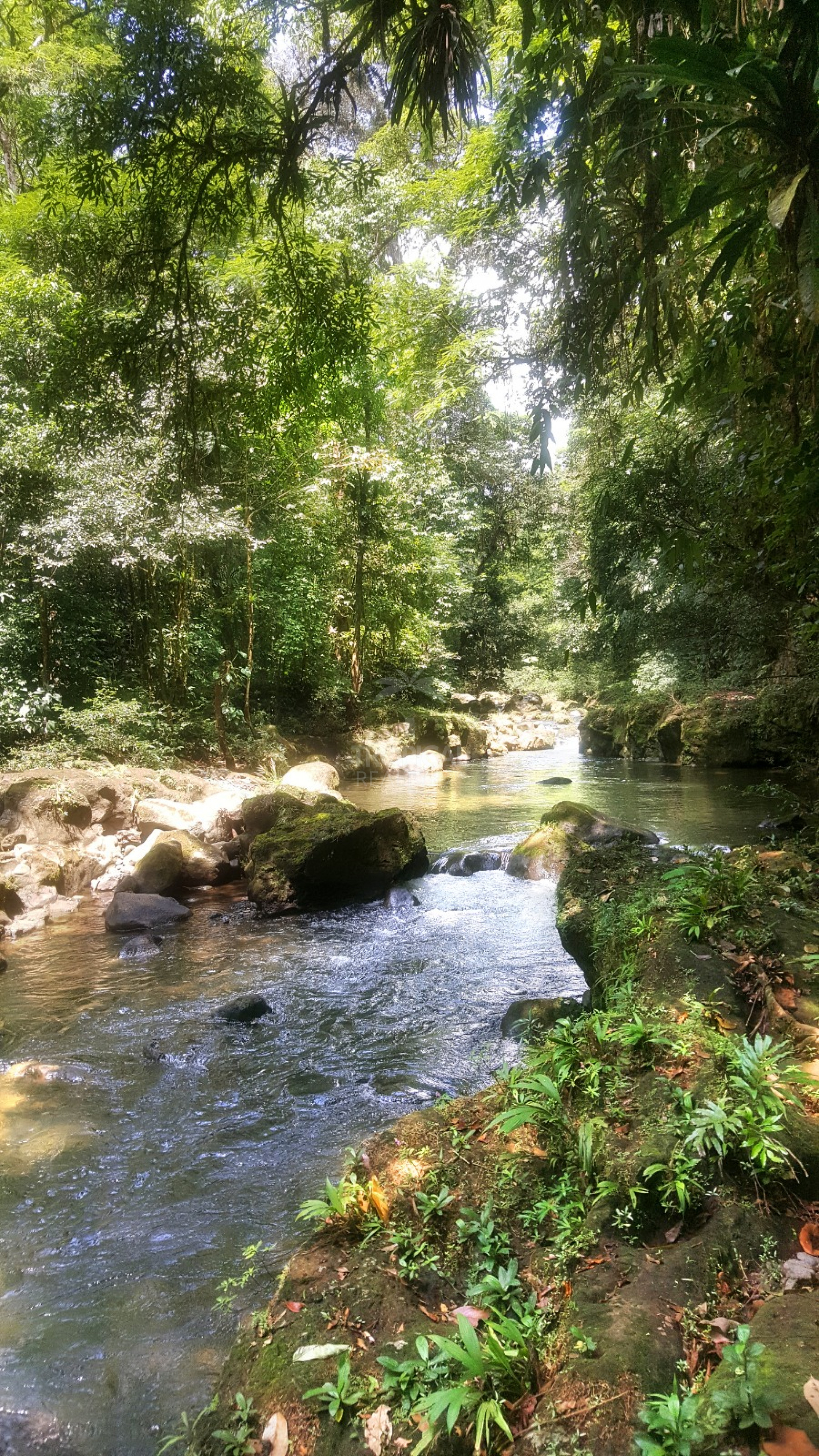 For Sale: Nature Lover’s Paradise in Sarapiquí – 24.7 Acres with Two Rivers | Bijagual, Heredia
