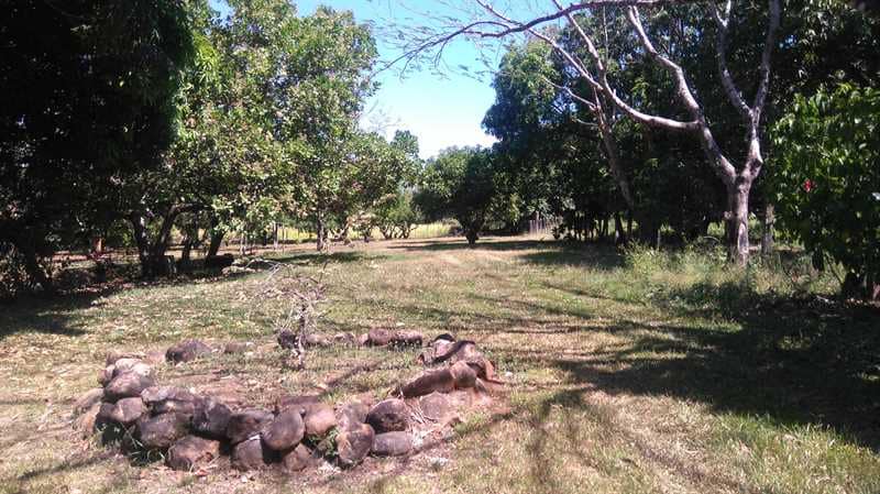 Nature Lover's Paradise: Unique Property with Two Homes on Expansive Land