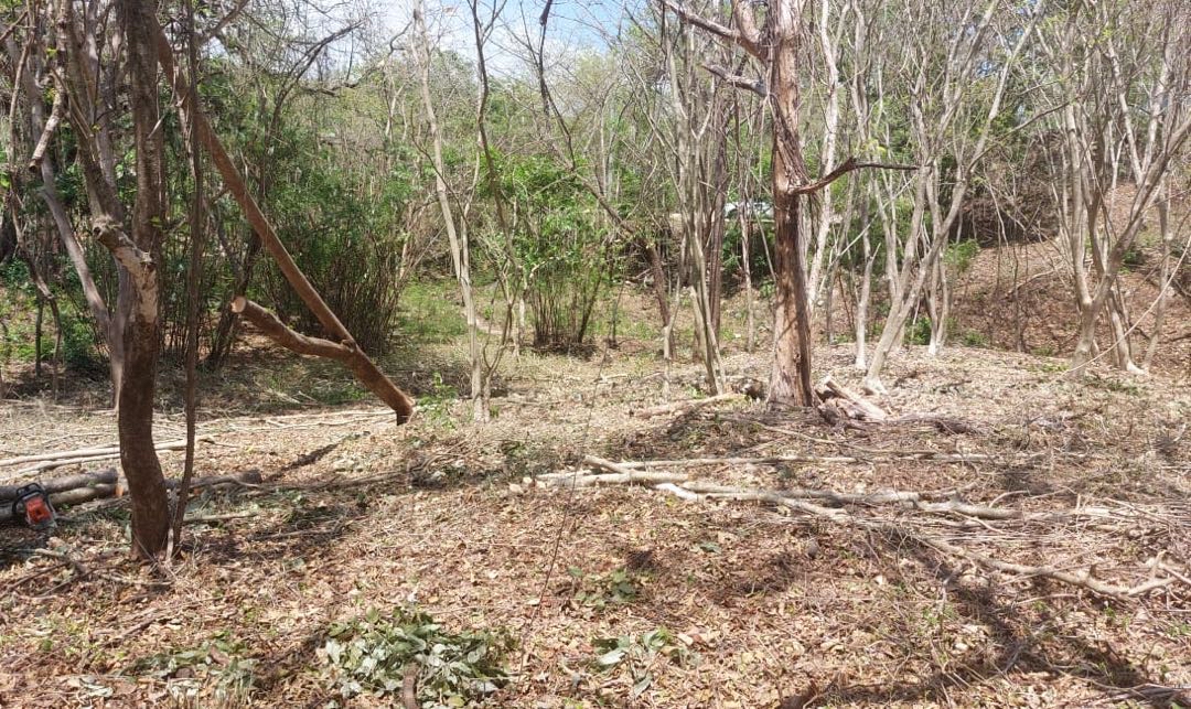 Prime Land Opportunity in Garza, Nosara: 1.24 Acres with Utilities, Just 3km from the Beach!