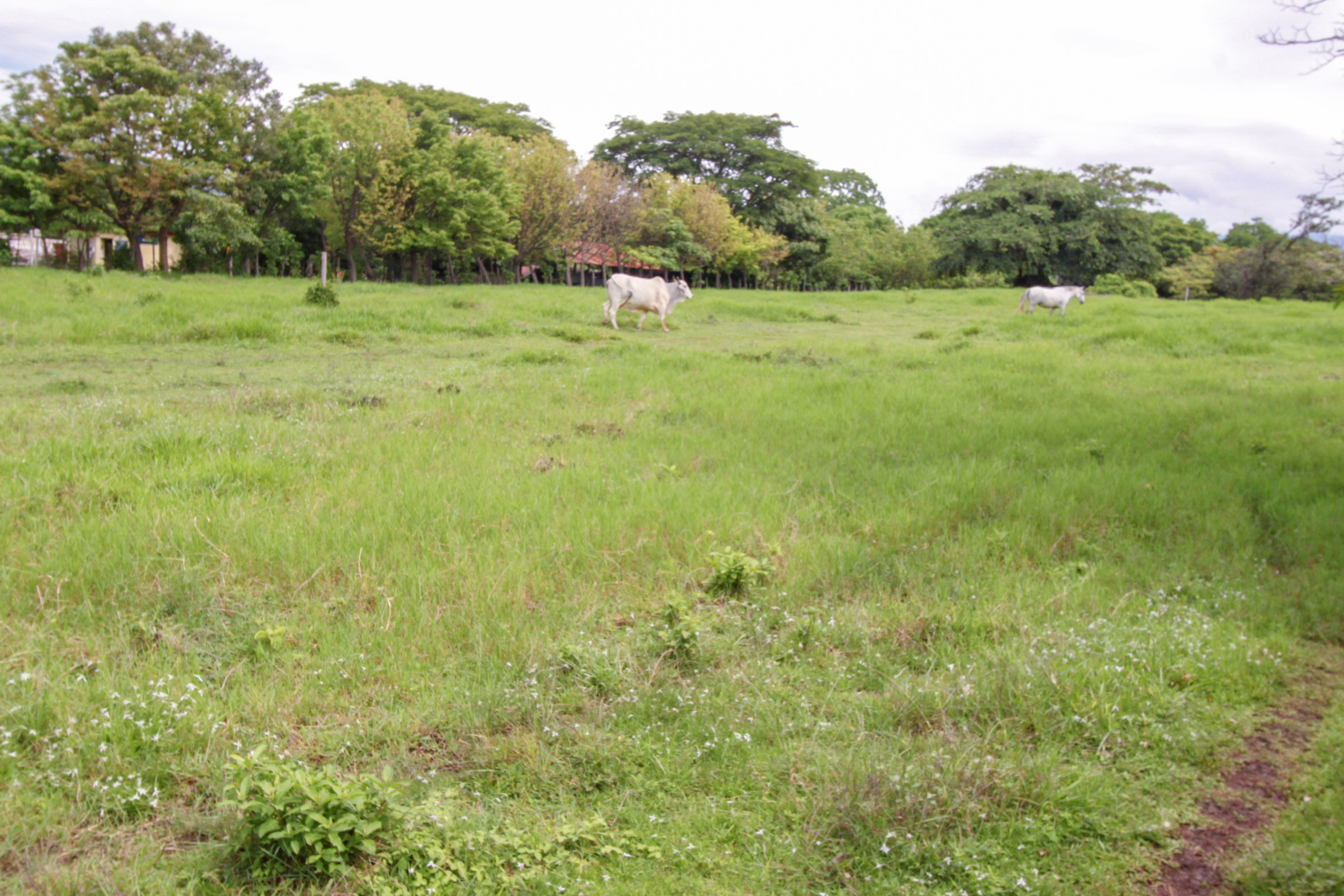 One level house for sale la Garita Alajuela SOLD