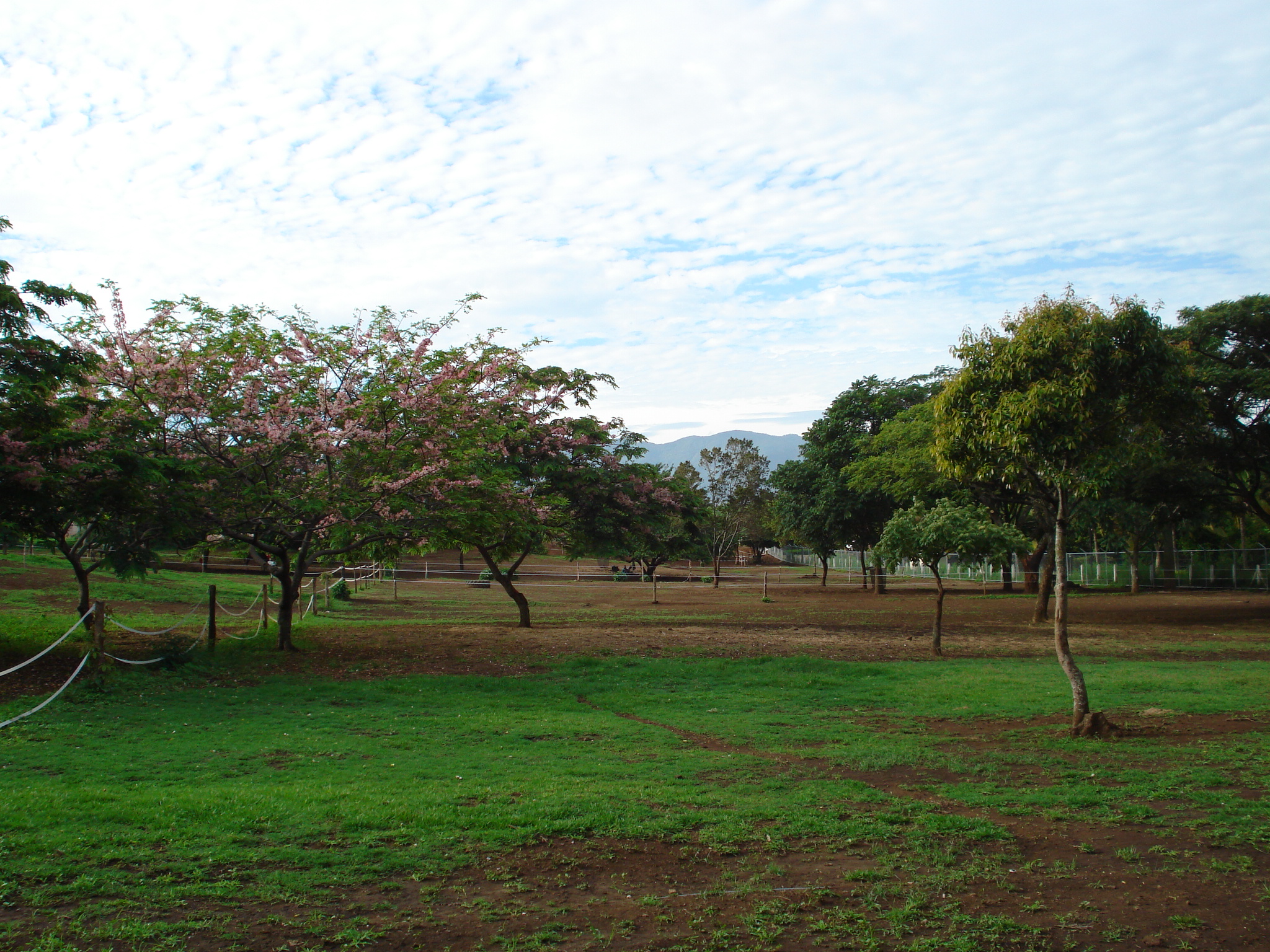 Prime Residential and Commercial Development Land for Sale in Alajuela - Negotiable Price