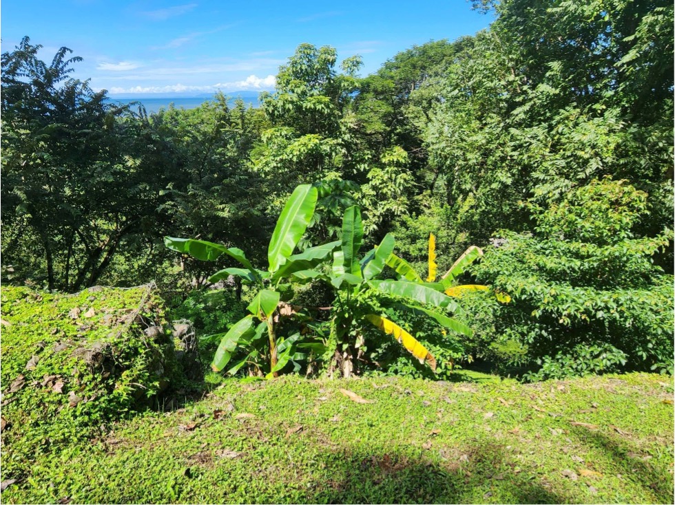 Building Plot in Nativa Resort