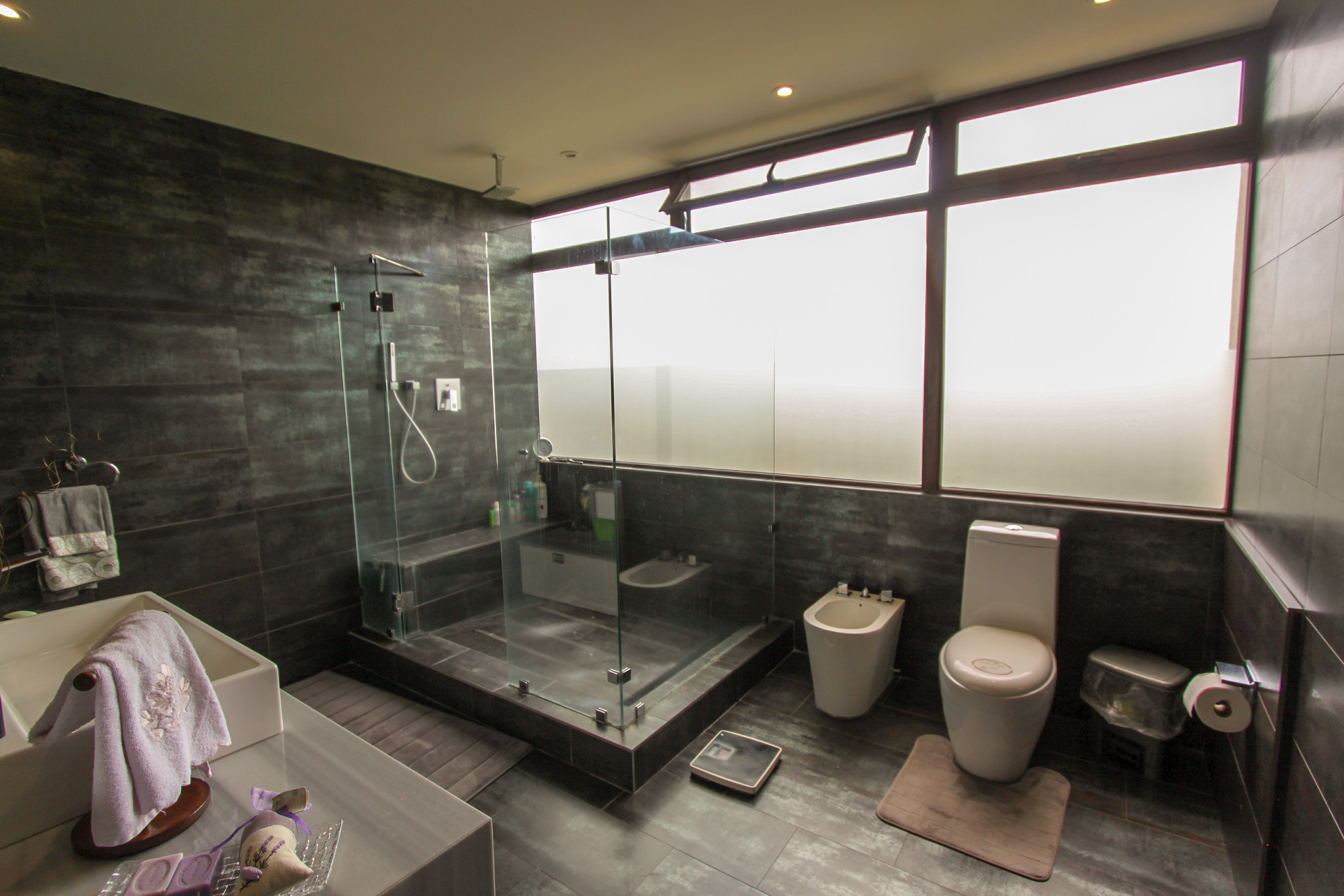 Apartment for sale or rent Escazu, Monteplata